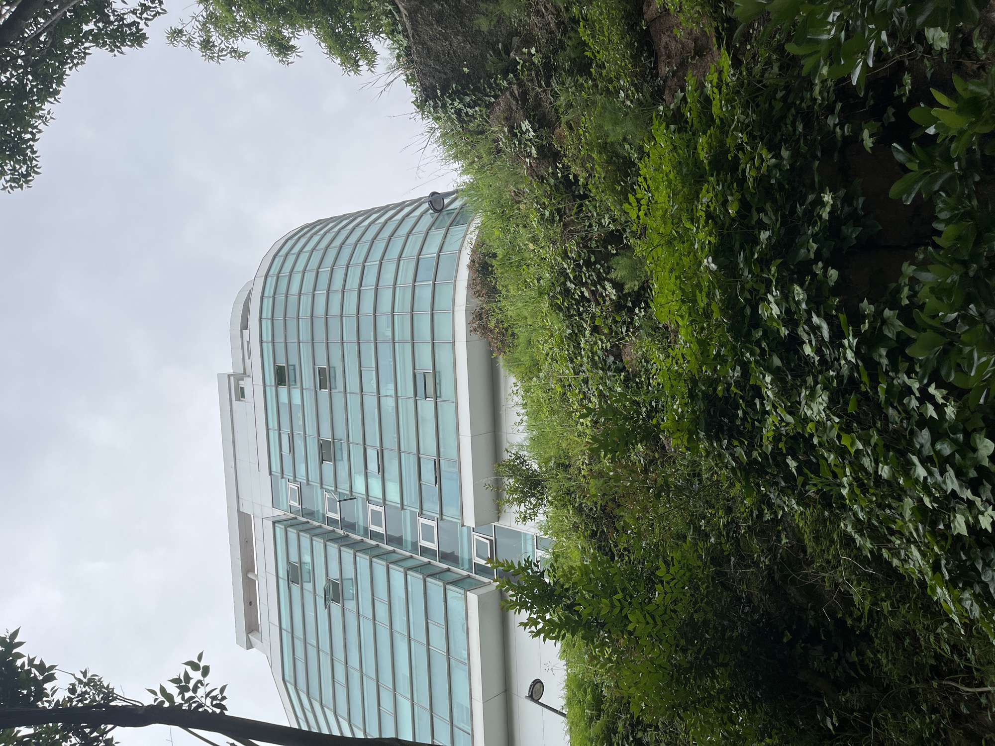 The image shows a modern glass-fronted building in A Coruña, Spain. The building is partially obscured by lush greenery, including ivy and other foliage growing on a wall adjacent to the building. The building has a curved top section. The sky is overcast. A lamppost is visible in the foreground. Some tree branches frame the top and bottom left corners of the image. Several windows are open.
