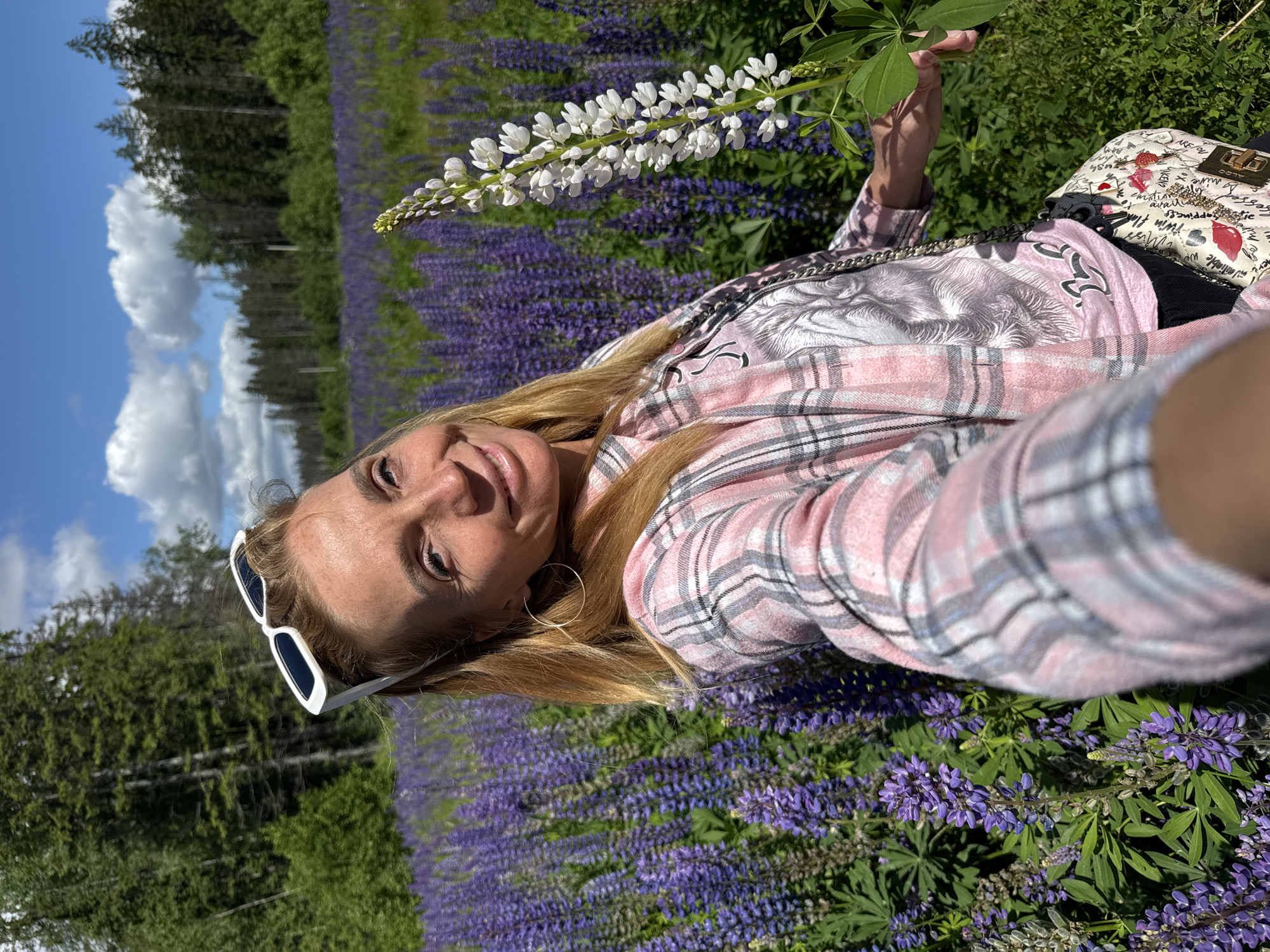 A woman is taking a selfie in a field of purple lupine flowers. She is smiling and looking at the camera. She is wearing a pink and white plaid shirt, sunglasses on her head, and a patterned purse. In the background, there is a forest and a blue sky with white clouds. The location is not specified in the image, but the vegetation and forest type suggest a northern climate, possibly Russia.