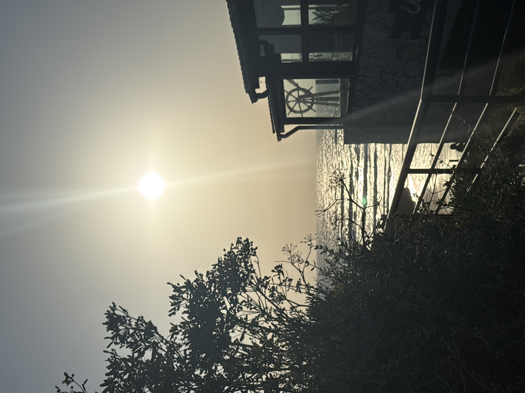 The image depicts a coastal scene at dusk, likely in Sopela, Spain, given the style of architecture and vegetation. In the foreground, a dense, dark green bush occupies the left side of the frame. Beyond the bush, a metal railing runs diagonally across the lower part of the image. A dark, multi-story building with a sloped roof and large windows is situated on the right. Inside one of the windows, a ship's wheel is visible. The sea is in the middle ground, with the sun low in the sky, casting a bright glare and creating shimmering reflections on the water's surface. The sky is a pale gradient from light at the horizon to a cooler tone overhead. The overall atmosphere is serene, with the natural elements of the sea and vegetation contrasting with the man-made structure.