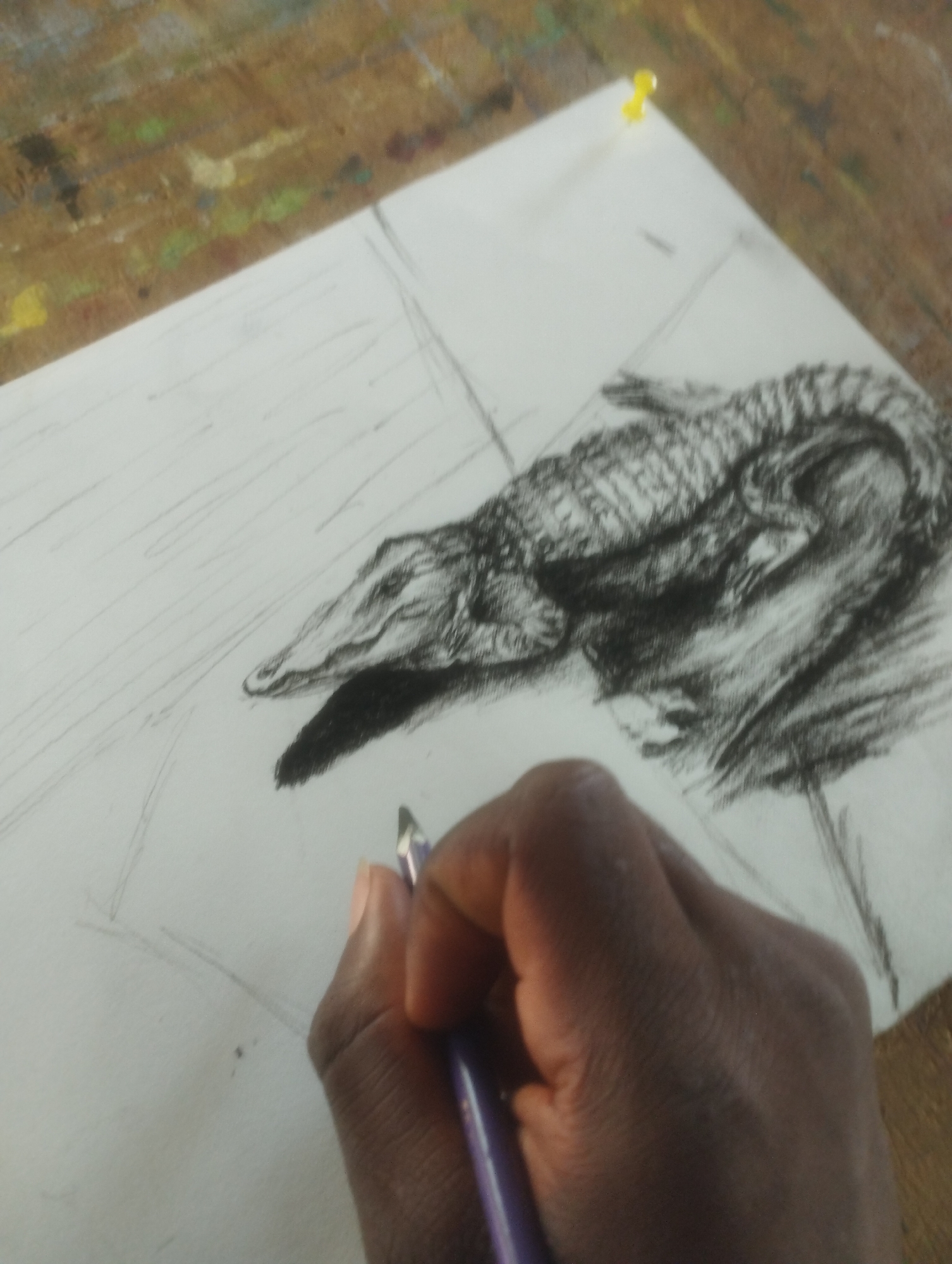 The media file shows a close-up of a person's hand drawing an alligator on a piece of paper. The hand is dark-skinned and is holding a purple drawing pencil, which is actively being used to sketch the alligator. The drawing itself is in charcoal or a similar dark medium and shows the alligator's head and upper body in detail, with scales and texture rendered effectively. The paper is white and appears to be tacked to a wooden surface, possibly an artist's easel or workbench, which has a mottled, paint-splattered appearance. Faint pencil lines are visible on the paper, suggesting a preliminary sketch or guidelines. A yellow thumbtack is visible securing the paper to the wooden surface in the upper right portion of the image. The scene is an artist's workspace, likely indoors, given the focus on the drawing process. The lighting appears to be natural or studio lighting, casting subtle shadows. The activity taking place is artistic creation, specifically drawing. There are no visible text elements in the media file.