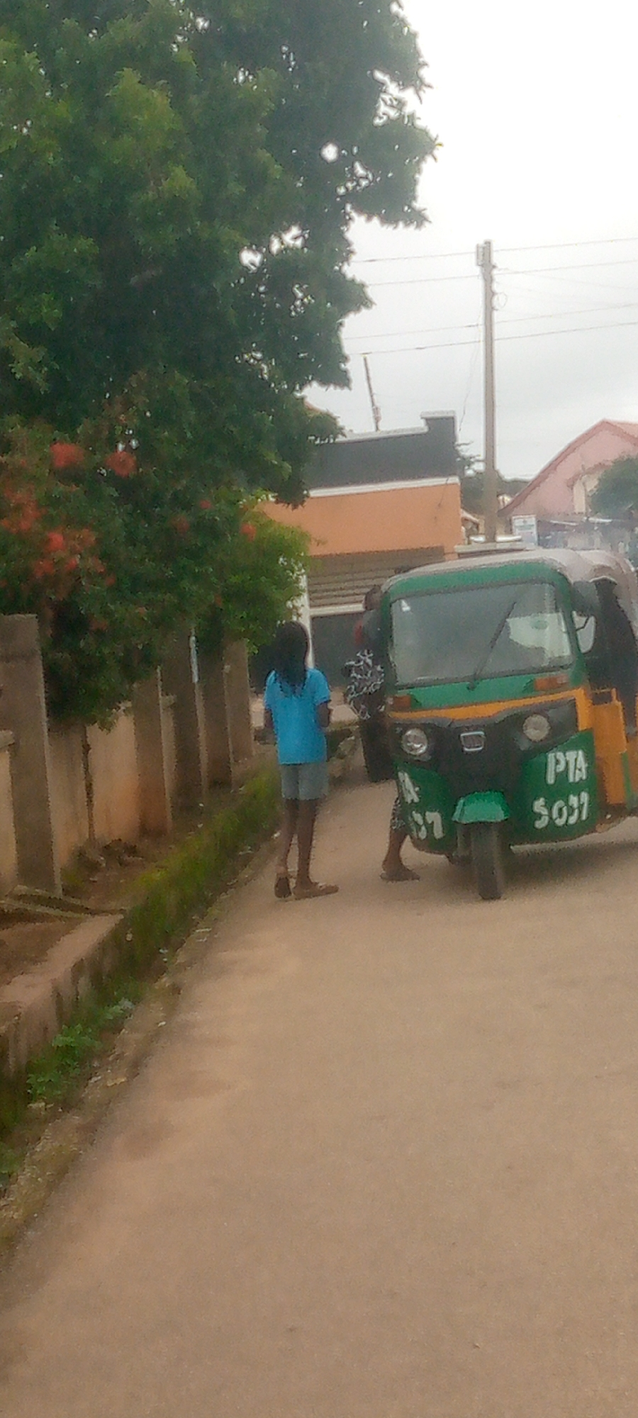 A person stands on a dirt road next to a green and yellow auto-rickshaw. The person, wearing a blue t-shirt and grey shorts, faces away from the camera. Their hair is dark and long. The auto-rickshaw has a license plate that reads "PTA S031". Another person, wearing a patterned shirt, is partially visible behind the auto-rickshaw. A tree with red flowers is on the left side of the image, and a fence runs along the edge of the road. Buildings are visible in the background, with a utility pole and wires overhead. The sky is overcast.