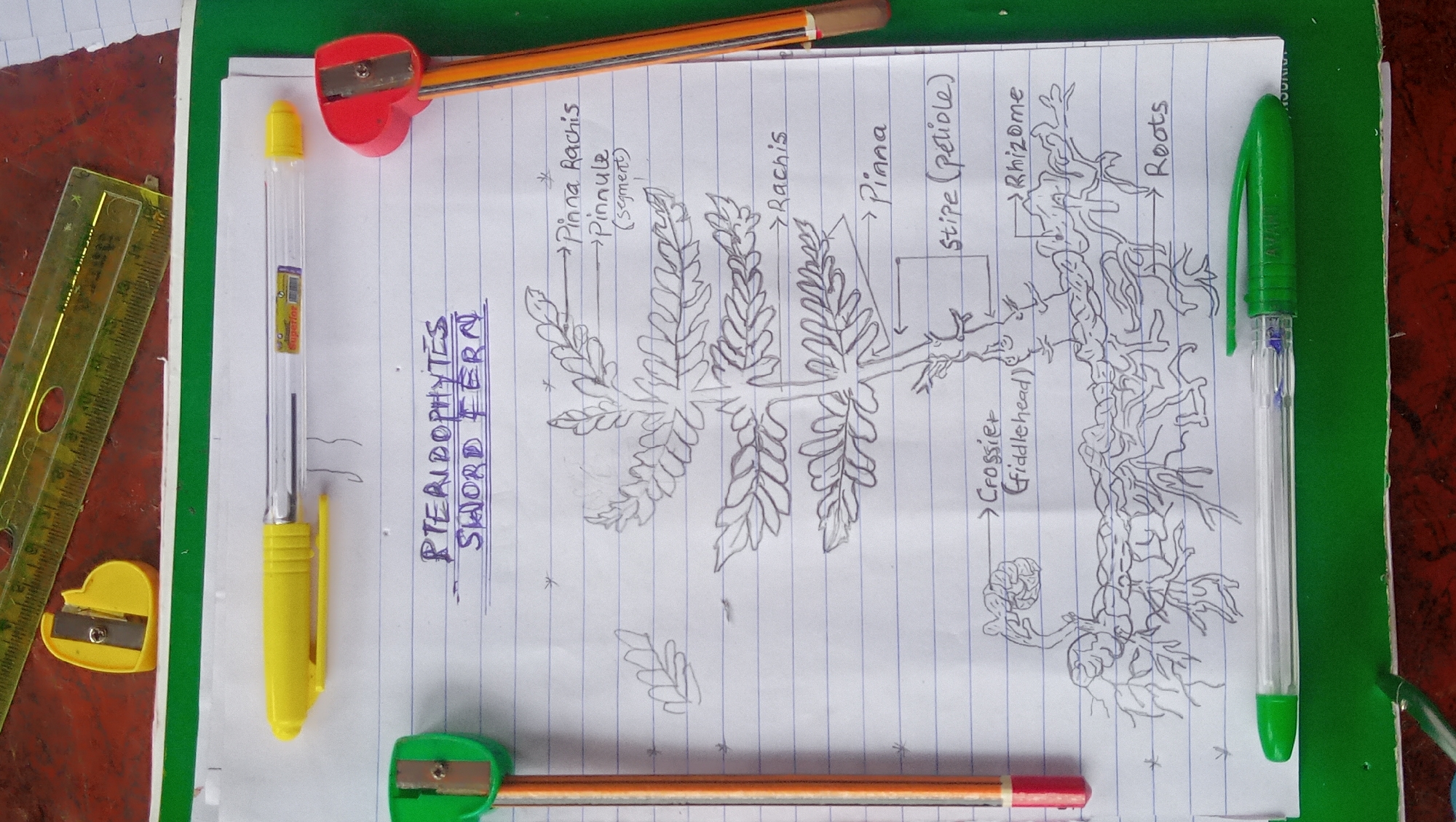 Memory