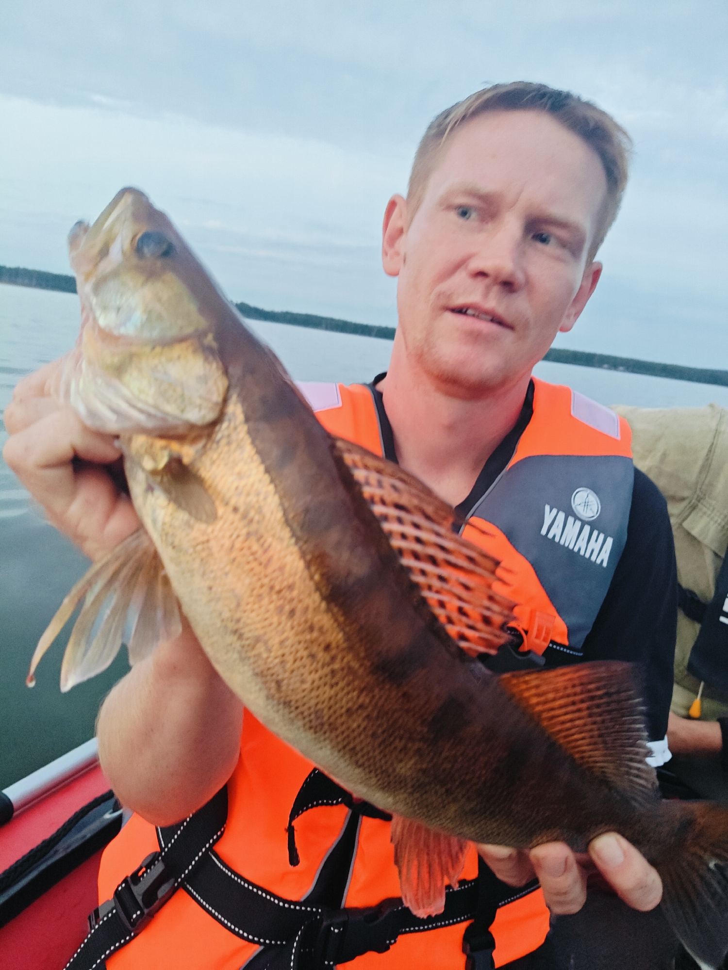 A Caucasian man with blond hair and blue eyes is holding a fish. He is wearing an orange life vest with "YAMAHA" written on it in white letters. The man is on a boat in a body of water, likely on a cloudy day. The background shows a tree line and a cloudy sky. The man appears to be in the city of Chaykovsky, Russia, as indicated by the presence of the Kama River, a notable geographical feature of the city.