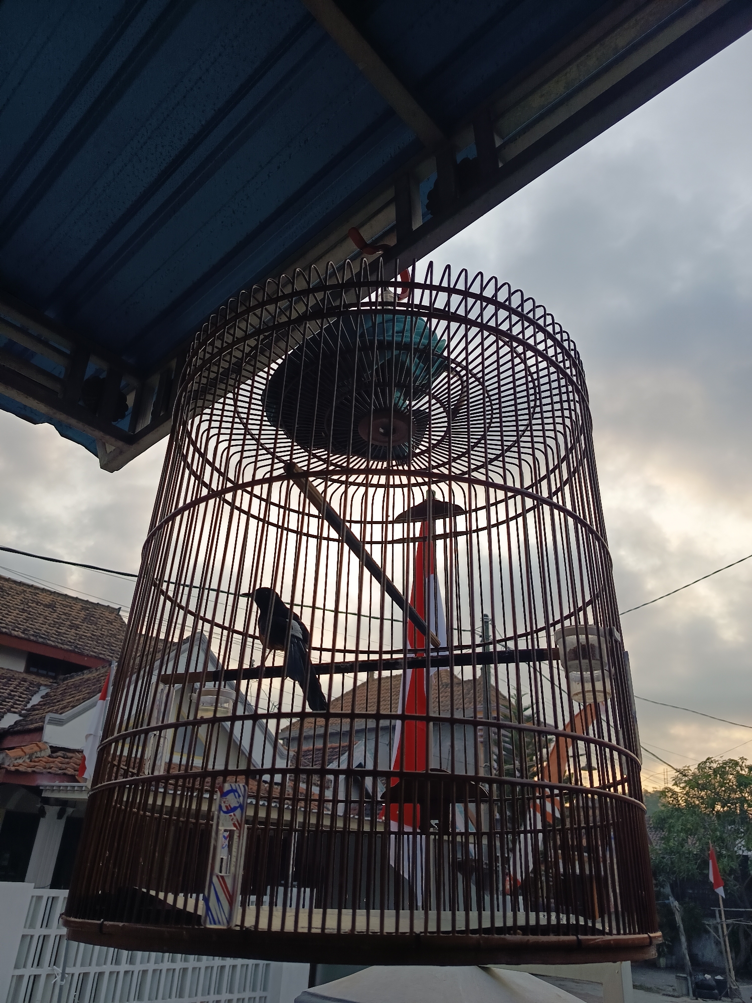 The image is a low-angle shot of a birdcage hanging outdoors, with a cloudy sky in the background. The birdcage is cylindrical and made of dark, thin bars. Inside the cage, a black bird with white markings is perched on a horizontal bar. A small Indonesian flag, red and white, is also visible inside the cage, attached to a vertical bar.
The birdcage is positioned beneath a dark blue corrugated metal roof supported by a simple frame. In the background, across the frame, are the rooftops of houses with terracotta tiles. Some houses appear to have white walls. Trees and electrical wires are also visible against the sky. A larger Indonesian flag on a pole is seen in the distance to the right.
The scene appears to be in an outdoor area, possibly a yard or street in a residential setting. The overall lighting suggests it might be late afternoon or early morning due to the soft, diffused light filtering through the clouds. The image is likely taken in Sugio, Indonesia, as indicated by the presence of the Indonesian flag and the architectural style of the houses.