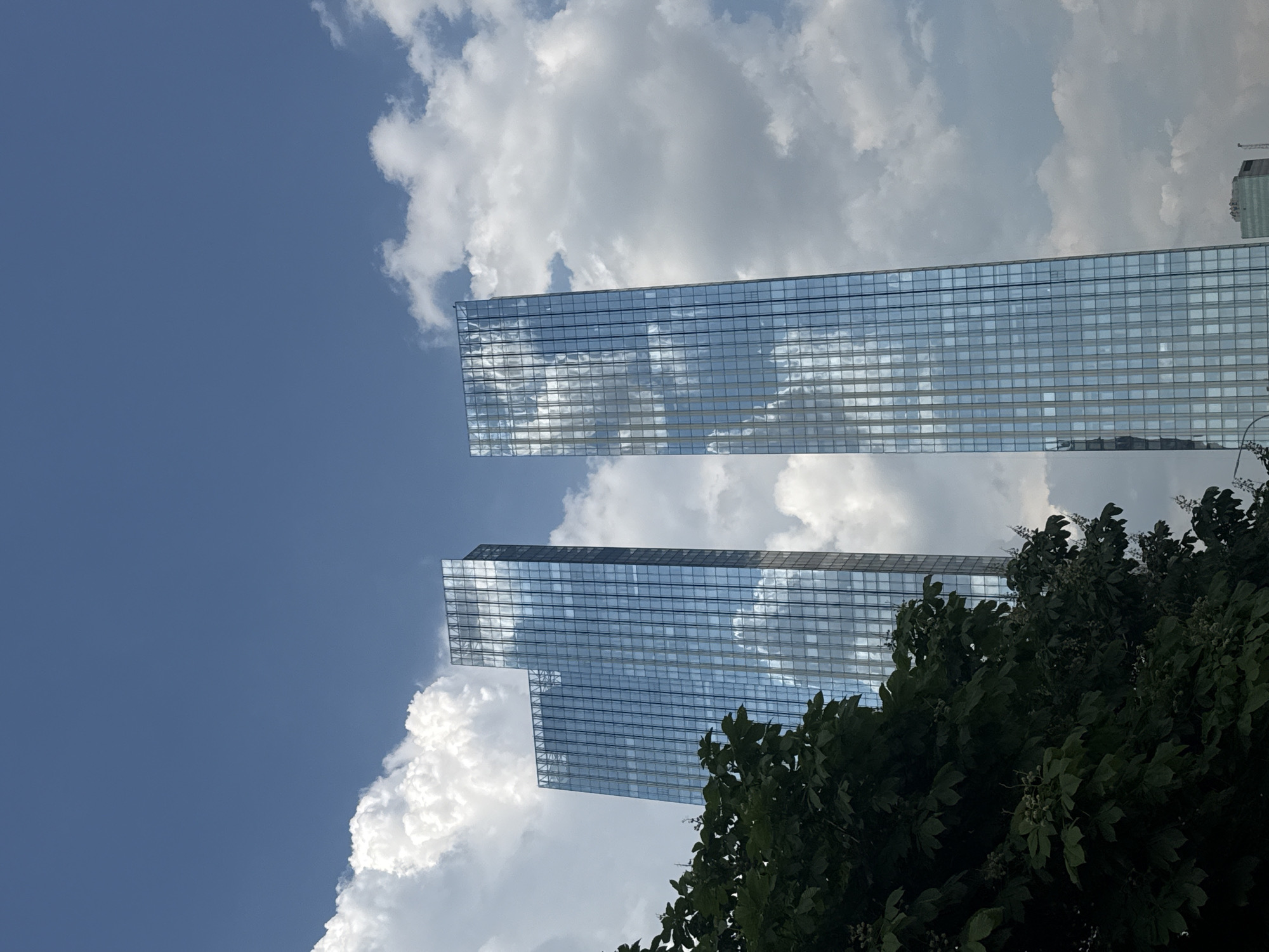 Two modern skyscrapers, appearing to be glass-fronted, rise vertically against a bright blue sky dotted with white cumulus clouds. The skyscrapers are adjacent and reflect the sky and clouds, creating a mosaic of light and shadow on their facades. In the foreground, on the left side of the image, a large cluster of dark green leaves from a tree partially obscures the base of the left skyscraper. The leaves appear lush and full. The overall scene suggests an urban environment, likely a business district, bathed in daylight. The architecture of the skyscrapers indicates a contemporary city.