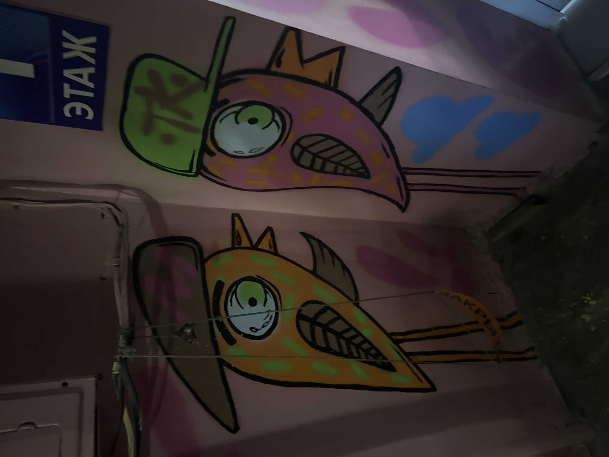 The image shows a section of a pink wall, likely in a stairwell, with graffiti art. On the left, an orange cartoon bird wearing a brown cowboy hat is depicted with large green eyes and a beak resembling teeth. It has green spots on its body and black lines forming feathers on its wing. A yellow swing with Cyrillic text is hanging in front of it. To the right, a pink cartoon bird with similar features, including large green eyes and a beak, wears a green baseball cap. This bird also has pink and orange spots and black feather lines. Two blue cloud shapes are painted below it. In the upper right corner of the wall, a blue sign with white Cyrillic text that reads "ЭТАЖ" (meaning "FLOOR") is visible. The overall environment appears to be an indoor, possibly urban, setting, with visible electrical wiring running along the ceiling in the top portion of the image. The graffiti suggests a potentially public or semi-public space that has been decorated with street art. The presence of the "ЭТАЖ" sign indicates this is a multi-story building, common in urban environments.