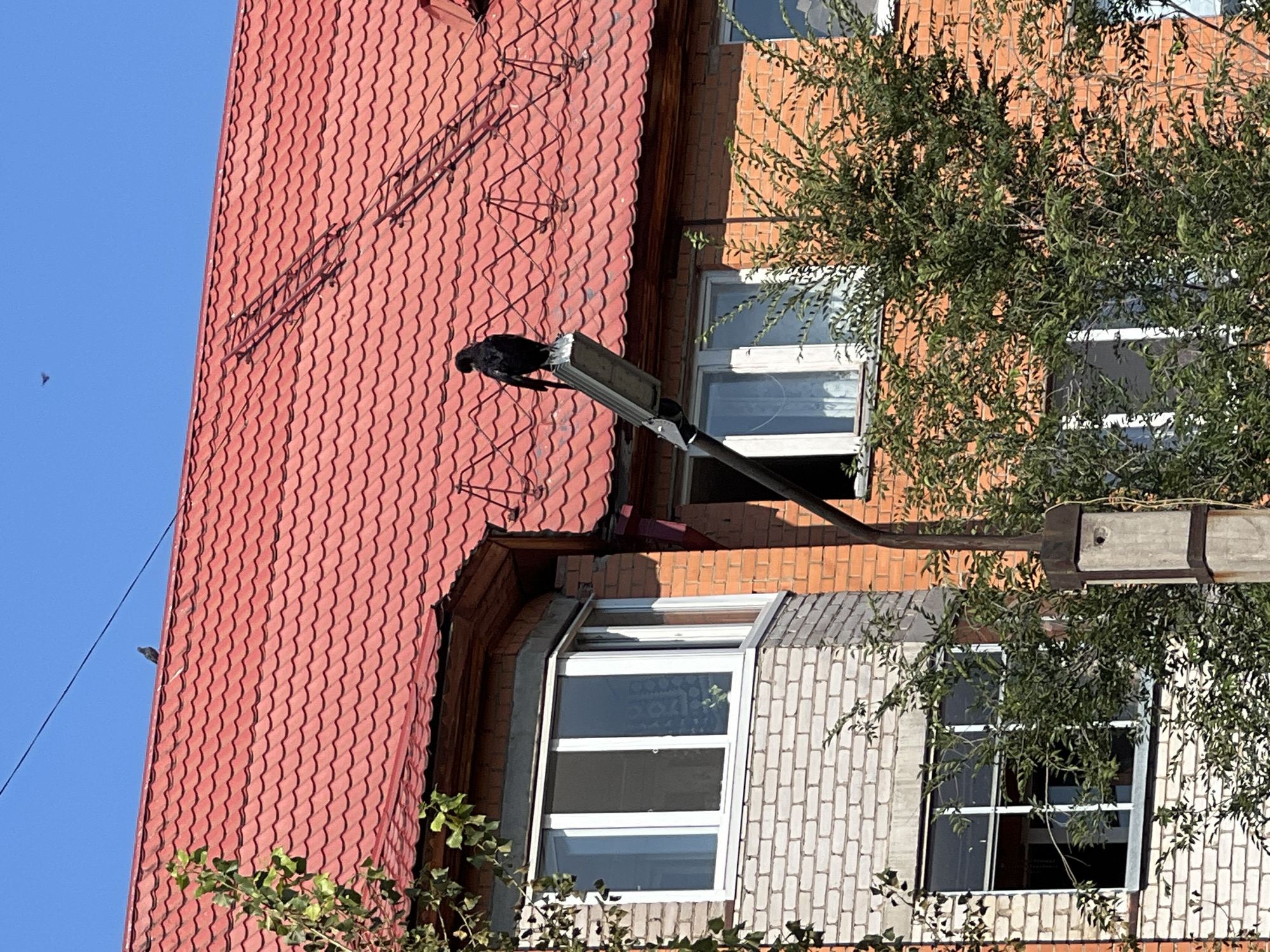 A black bird is perched on top of a street lamp, facing left. The street lamp is attached to a concrete post and extends upwards towards a bright red, tiled roof of a building. The building has multiple windows with white frames. The exterior walls are made of red brick and white brick. Green trees and foliage are visible in front of the building. The sky is clear and blue. The scene appears to be in an urban environment, possibly a residential area in Salavat, Russia.
