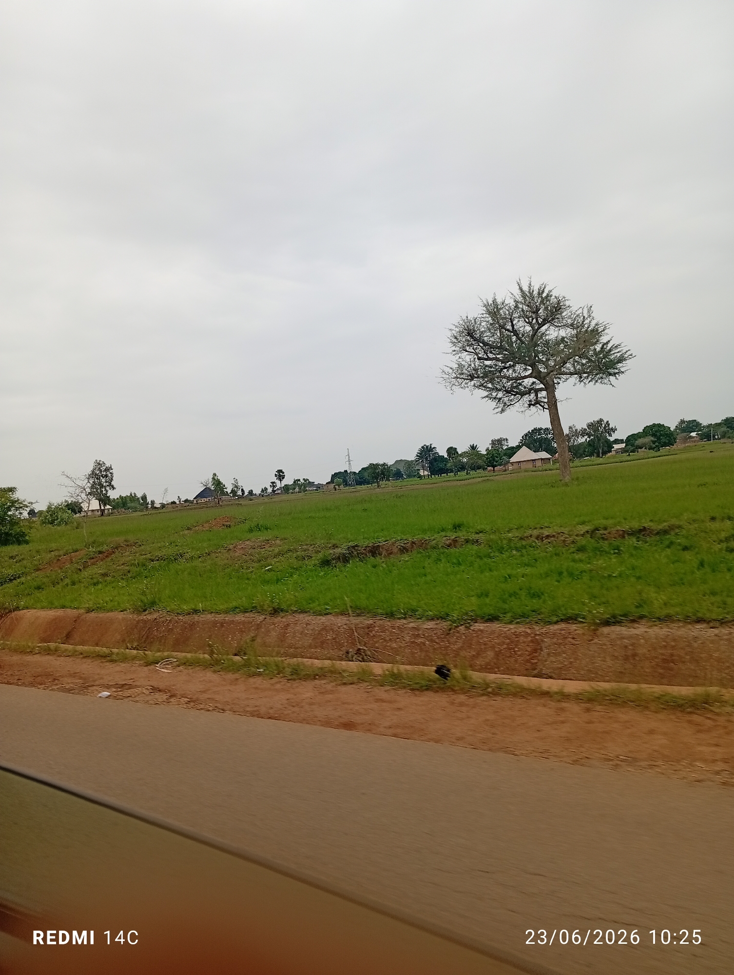 The image shows a pastoral landscape under a cloudy sky. In the foreground, a paved road curves from the lower left corner. To the right of the road, a brown embankment rises, topped with green grass and sparse vegetation. A solitary, bare-branched tree stands prominently in the middle ground, its silhouette sharp against the overcast sky. Beyond the tree, a field of green grass stretches towards a cluster of buildings with thatched roofs. The horizon is lined with more trees and vegetation, and a single utility pole is visible in the distance. The overall scene depicts a rural or semi-rural environment. The text "REDMI 14C" and "23/06/2026 10:25" are superimposed on the image, indicating it was captured by a Redmi 14C phone on June 23, 2026, at 10:25 AM. The location is identified as Du, Nigeria.