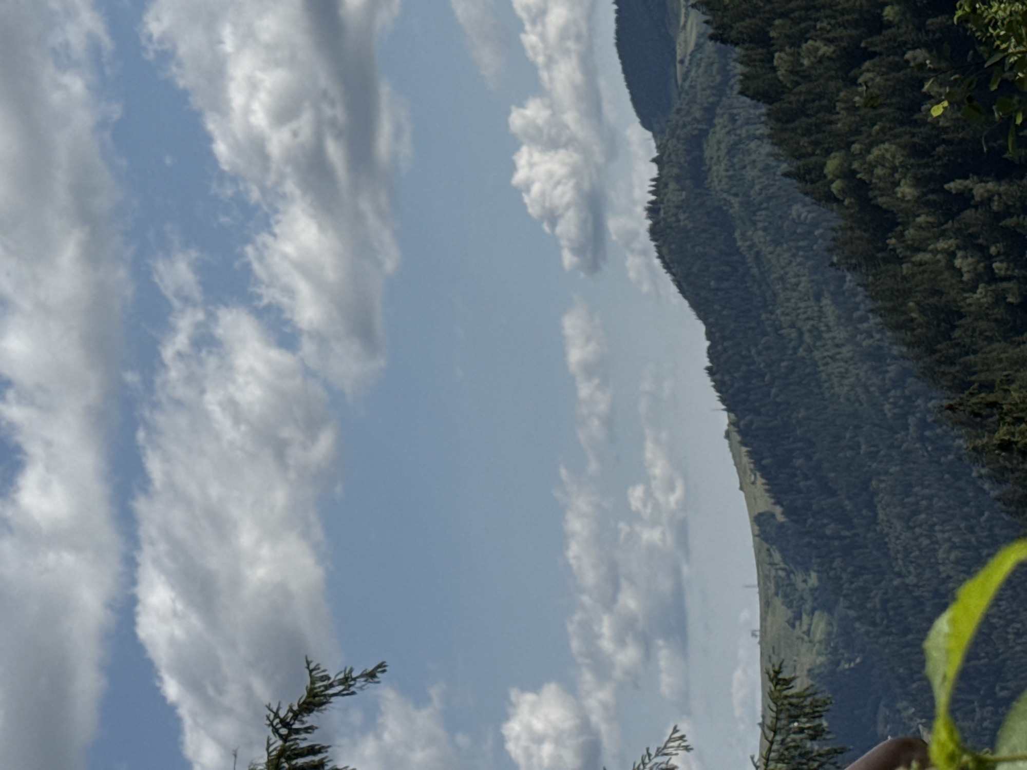 The image is a landscape view of a mountainous region with a dense forest covering the slopes. The sky is partly cloudy with scattered white clouds against a blue background. In the foreground, there are some green leaves and branches of a tree, partially obscuring the view. The mountains are covered in various shades of green from the evergreen trees. There are no visible people or man-made structures in the immediate foreground or on the mountainsides, except for what appears to be a distant tower or antenna on one of the peaks. The overall scene depicts a natural, rural environment, likely in a mountainous area. The location is specified as Kryvorivnia, Ukraine.