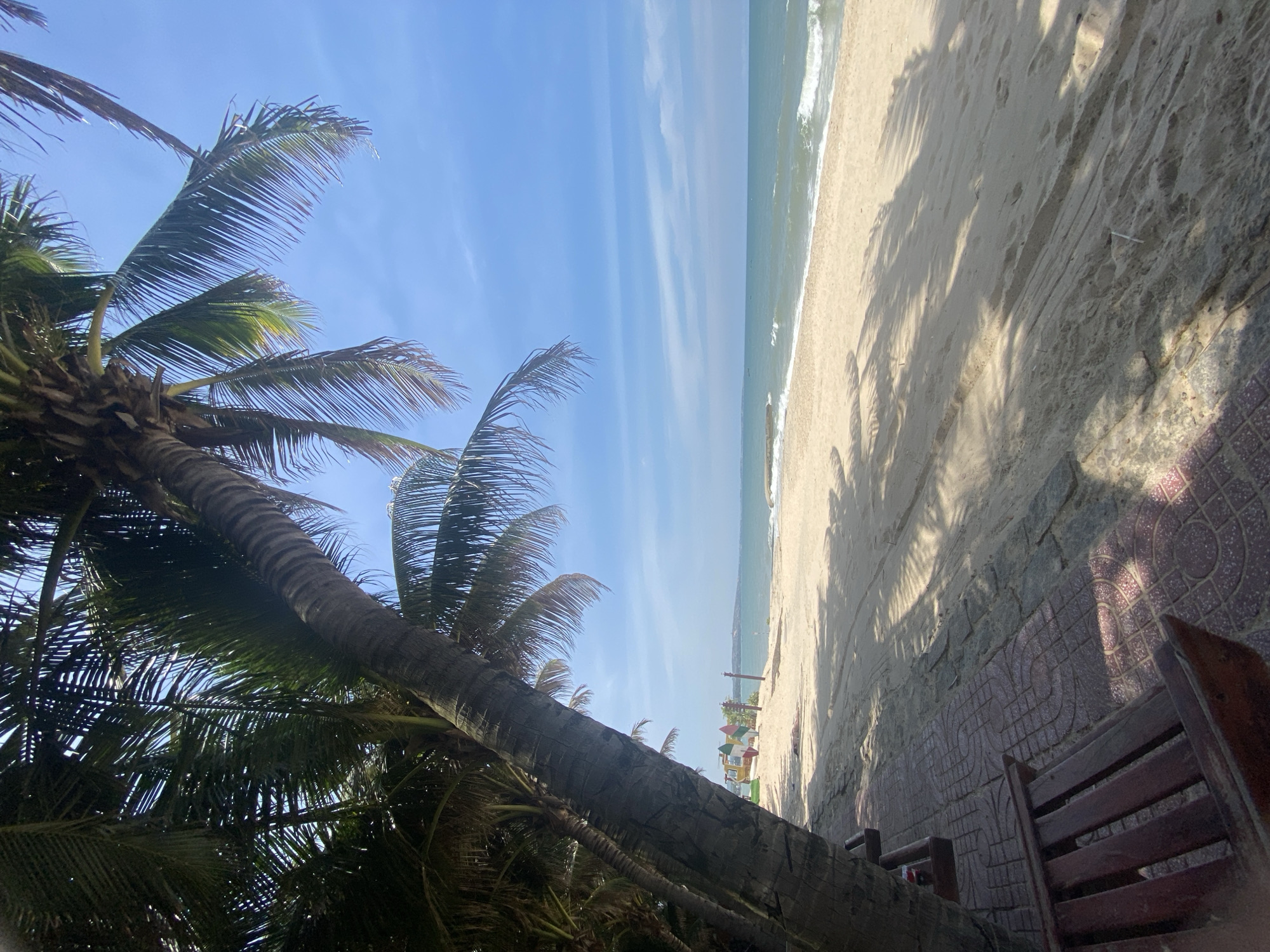 A tranquil beach scene is captured under a clear blue sky with scattered white clouds in Phu Thuy Ward, Vietnam. The foreground features the base of a large palm tree with its fronds casting shadows across the sandy beach. To the left, a wooden bench is partially visible, situated on a patterned tiled walkway.
The sandy beach stretches towards the ocean, where gentle waves lap at the shore. In the distance, the horizon is marked by the sea meeting the sky. A few surfboards and a small structure are visible on the beach further down, suggesting a recreational area. The overall atmosphere is peaceful and serene, highlighting the natural beauty of the coastal environment.