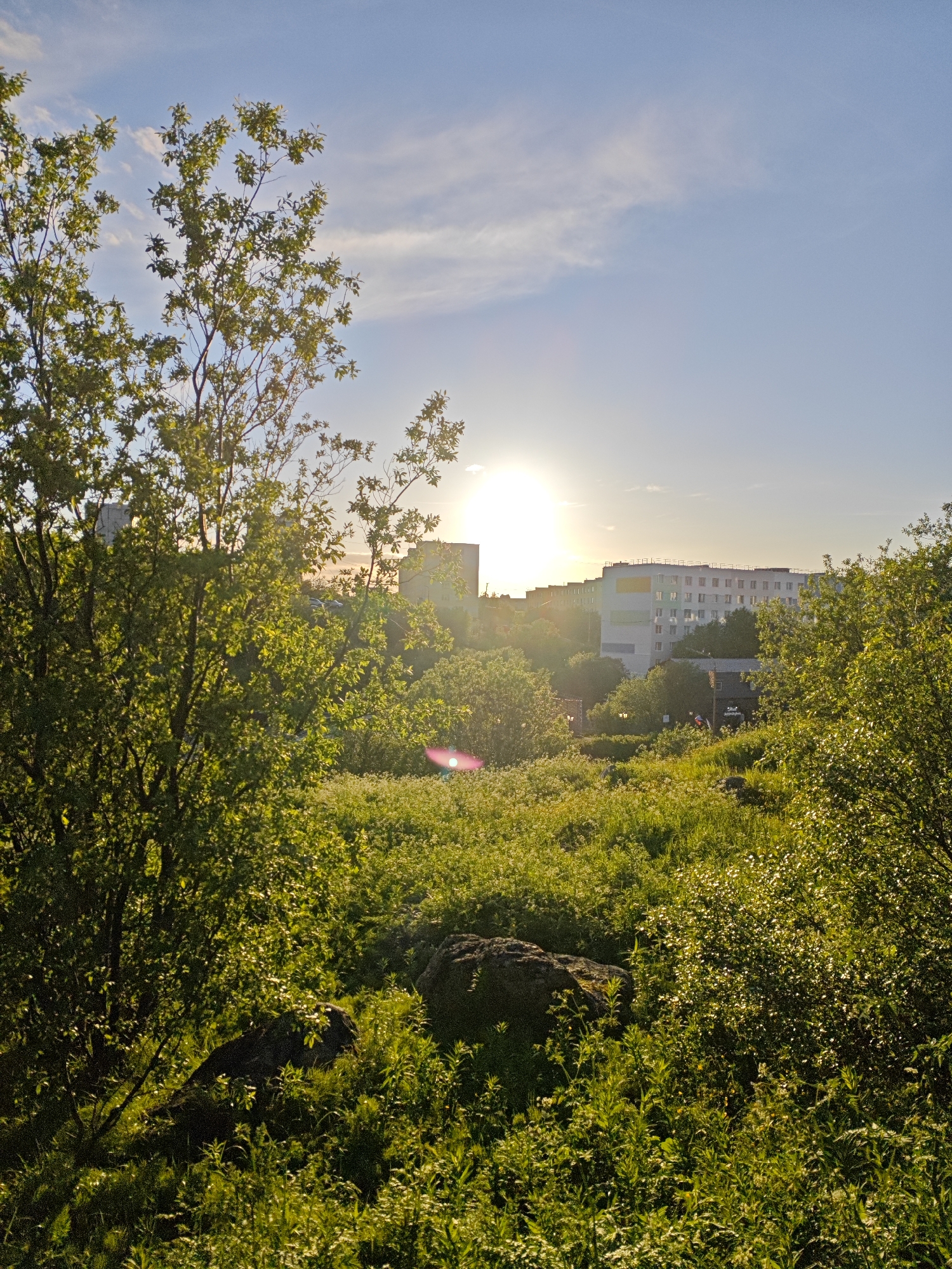 The image depicts a sunlit view of a grassy area with trees in the foreground, leading to a cityscape in the background. The sun is low in the sky, casting a bright glow and creating lens flare. Several buildings, appearing to be residential or office blocks, are visible in the distance. Green foliage dominates the scene, with lush grass and leafy trees. The sky is blue with scattered clouds. The overall impression is that of an outdoor scene in an urban or semi-urban environment during daylight. There are no people visible in the image. The location is specified as the city of Polyarny, Russia.