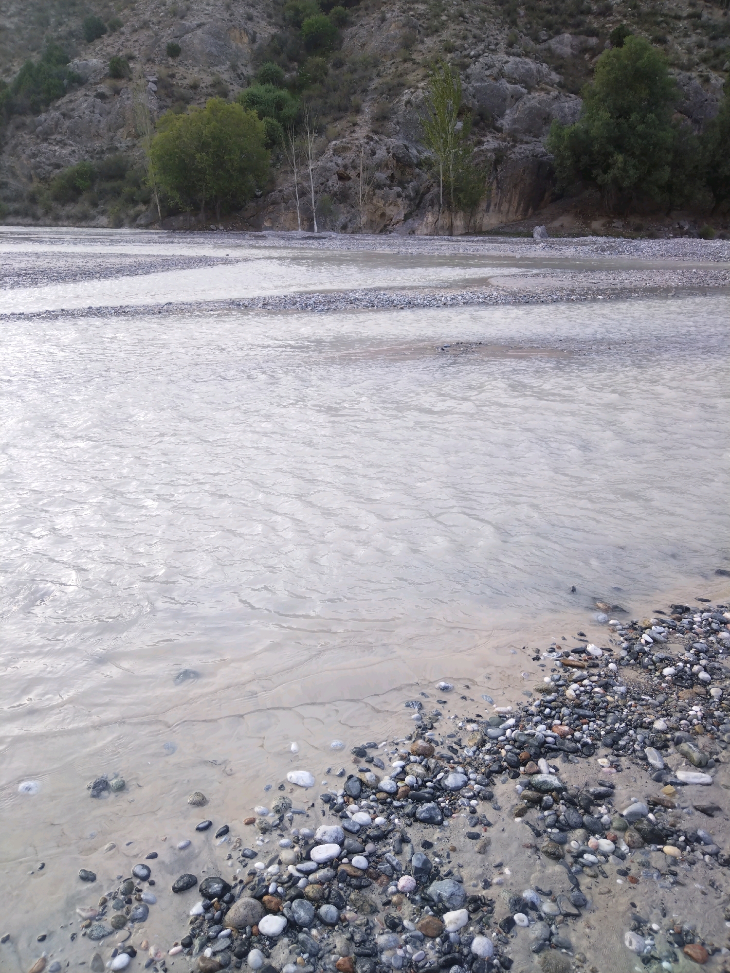 The image depicts a wide, shallow river flowing through a rocky, mountainous terrain. The water is a light, opaque color, suggesting it may be carrying sediment. Numerous strips of pebbles and rocks are visible emerging from the water, indicating a variable water level and flow. The riverbanks are composed of similar rocky material, with sparse vegetation on the slopes and a few trees dotting the landscape closer to the water's edge. The overall environment appears natural and undeveloped. There is no indication of the city of Yordon, Uzbekistan, or any human presence in the image.