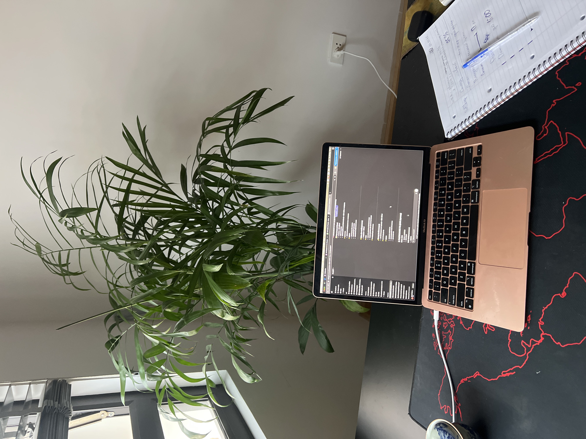 The image displays an indoor workstation, likely a home office or study area, set within the Nam Natural Heritage Area Trang, Vietnam. The scene is dominated by a large, vibrant green houseplant, possibly a palm or bamboo, positioned prominently to the left and center, partially obscuring a window or door frame.
On a dark desk surface, a rose gold/gold MacBook Air laptop is open, its screen displaying a dark-themed interface with what appears to be code or data visualizations, suggesting a coding or analytical task. A white charging cable extends from the laptop to a white power outlet on a light-colored wall. A black desk mat featuring a red outline of a world map underlies the laptop. To the right of the laptop, a spiral-bound notebook lies open, containing handwritten notes in blue ink. A blue ballpoint pen rests on the notebook. A small, blue and white patterned cup or bowl is partially visible in the bottom right corner.
The handwritten text in the notebook, primarily in a Cyrillic script, includes phrases such as "go 0 16:00", "25%", "менее обусу", "полный цепи" (full chain), "почист" (clean up), and "склад" (warehouse), along with numbers and dates like "10.02.201". The room appears to be well-lit by natural light coming from the left. The overall ambiance suggests a focused and comfortable environment for work or study.
