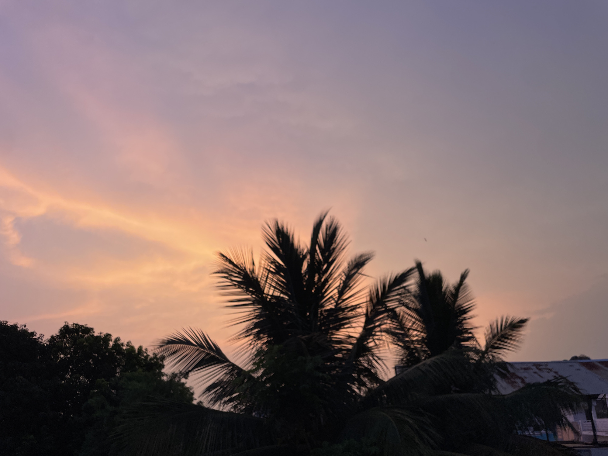 The image shows a sunset in Perumbakkam, India. The sky is a gradient of purple, pink, and orange. The silhouette of a palm tree is prominent in the foreground. There are other trees and a building visible in the background. The overall scene depicts a tranquil evening.