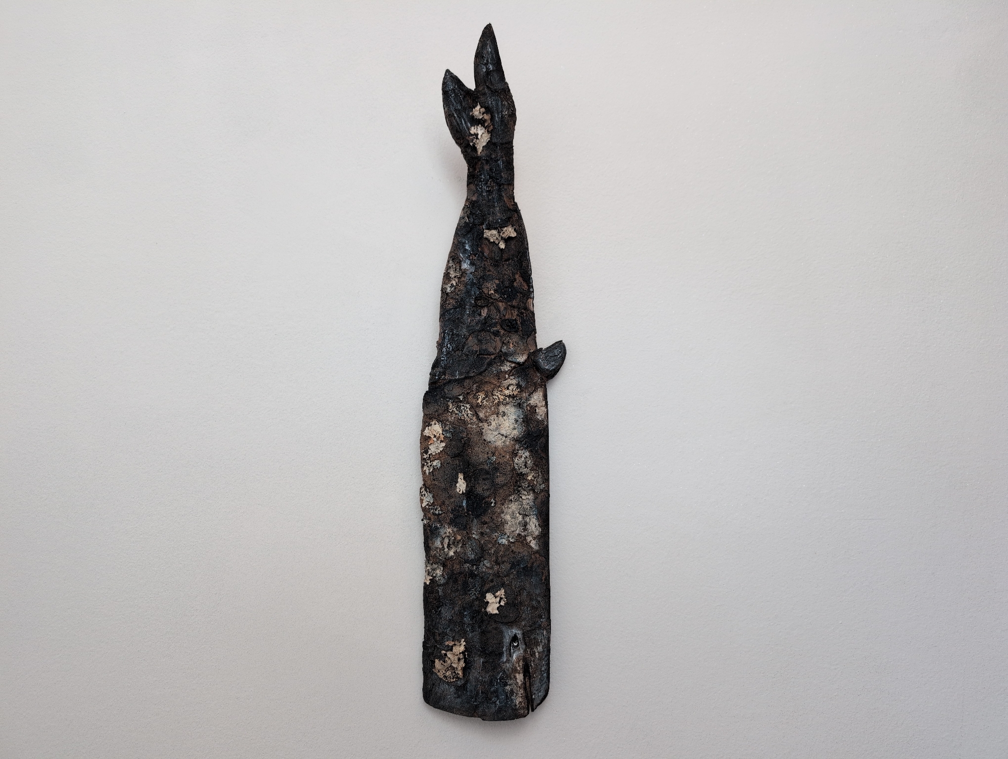 A carved wooden whale sculpture, dark brown with lighter brown and white accents, is mounted horizontally on a plain, light-colored wall. The sculpture is approximately three feet long and appears to be a rustic, handcrafted piece, possibly made from driftwood. The whale is depicted from its head on the left to its fluke on the right. The head is blunt, with a single eye visible on the left side, depicted as a small dark circle. The body of the whale is textured and irregular, suggesting a rough finish. The tail fluke is forked, with pointed tips. The wall behind the sculpture has a slightly textured surface, creating a subtle play of light and shadow. There is no visible indication of the specific location within the city of Rijeka, Croatia, as the image focuses solely on the artwork and its immediate surroundings. No people or other objects are present in the scene.