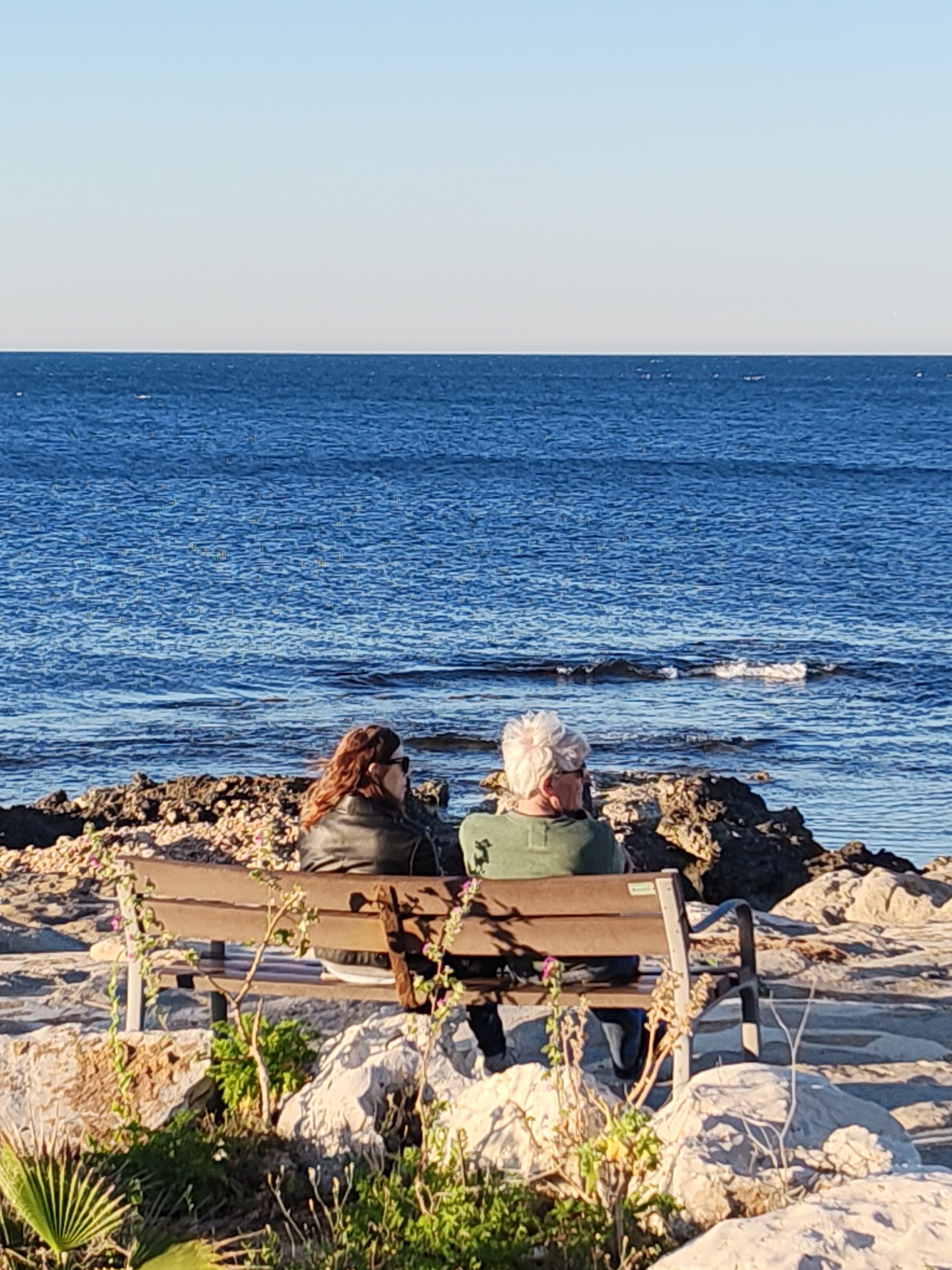 The image displays a serene coastal scene at Rotes, Spain, featuring two people seated on a wooden park bench, observing the sea. Both individuals have their backs to the viewer. The person on the left has reddish-brown hair and is wearing a dark (likely black) leather jacket, appearing to hold a device, possibly a phone or camera, to their face. The person on the right has short, white-grey hair and wears a dark green long-sleeved shirt, with sunglasses visible.
The bench is positioned on a rocky, light-colored shoreline, with various green plants and small bushes scattered in the foreground and around the seating area. Beyond the rocks, the deep blue sea stretches out to the horizon, showing gentle ripples and small waves near the shore. The sky above is a clear, light blue, indicating fair weather.
The lighting suggests a sunny day, possibly late afternoon or early morning, with a warm glow illuminating the scene. The overall activity is one of quiet contemplation or enjoyment of the scenic ocean view. The weather is clear and calm. No discernible text is visible on the bench or within the scene.