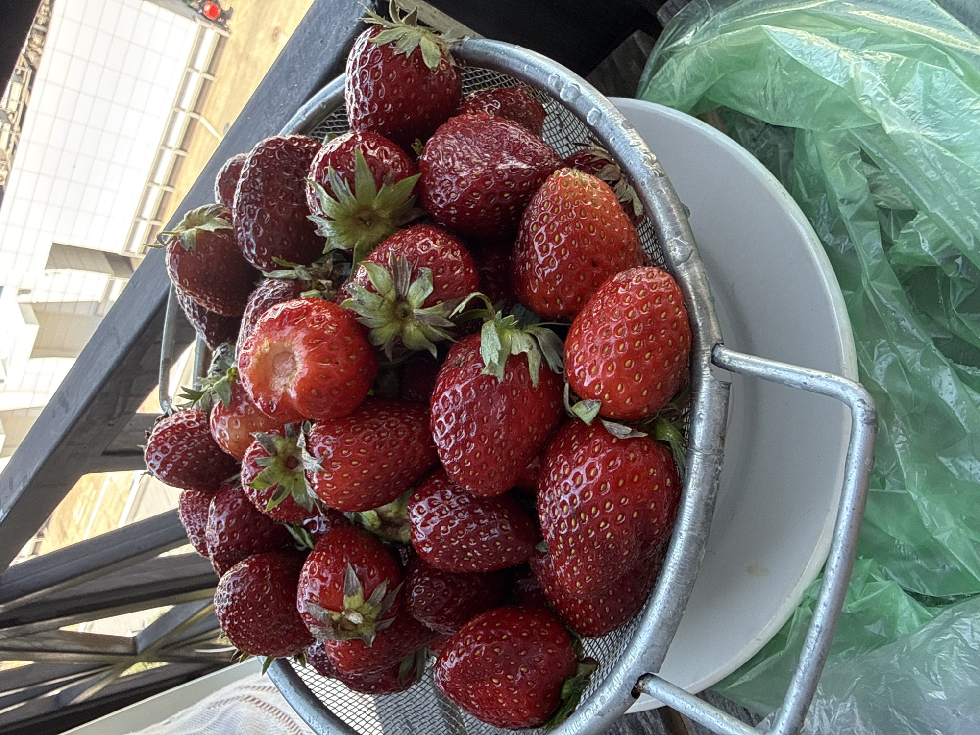 A close-up, eye-level, vertical shot shows a metal colander filled with ripe strawberries. The colander rests on a white plate, which is placed on top of crinkled green plastic. A dark metal railing is visible in the background, with a building and sky beyond. The scene appears to be on a balcony or outdoor space. No people are present, and no specific location in Sochi, Russia, can be identified.
