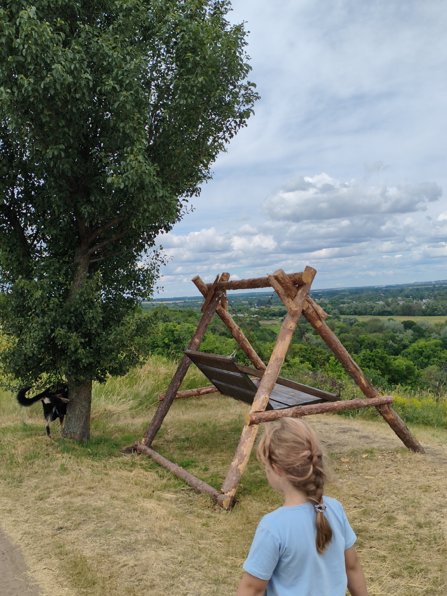 In Ustyvytsia, Ukraine, a young girl with blonde hair braided in a ponytail, wearing a blue t-shirt, is viewed from behind, facing away from the camera. She stands on a dry, grassy hillside overlooking a valley filled with green trees. To her left, a large tree with dark green leaves stands prominently. Partially hidden behind the tree trunk is a black and white dog, its tail raised. In the foreground, a rustic, wooden swing set is visible, constructed from rough-hewn logs. The sky above is partly cloudy, with white clouds against a light blue expanse. The overall scene depicts an outdoor recreational area with a natural landscape.