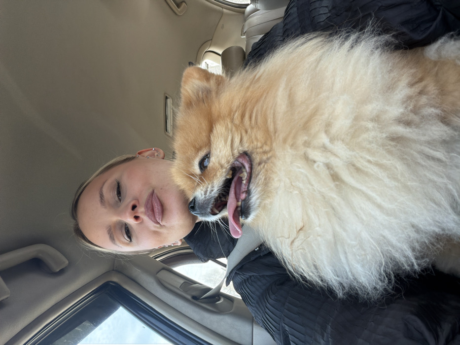 A female individual and a small, fluffy dog are depicted inside a vehicle in Makarovo, Russia. The female, positioned in the foreground, has light hair pulled back, visible ear piercings, and is looking towards the camera with a pursed-lip expression. She wears a dark, possibly black, textured garment, and a gray seatbelt is fastened across her chest. The dog, a Spitz-type breed with predominantly orange and cream-colored fur, is held on her lap or chest. Its mouth is open, tongue extended, and its eyes are directed upwards and to the right. The vehicle's interior features light-colored (beige/tan) upholstery on the ceiling and visible headrests. Through the vehicle's left-side window, a blurred outdoor scene with light, possibly overcast, sky and indistinct vegetation is visible.
