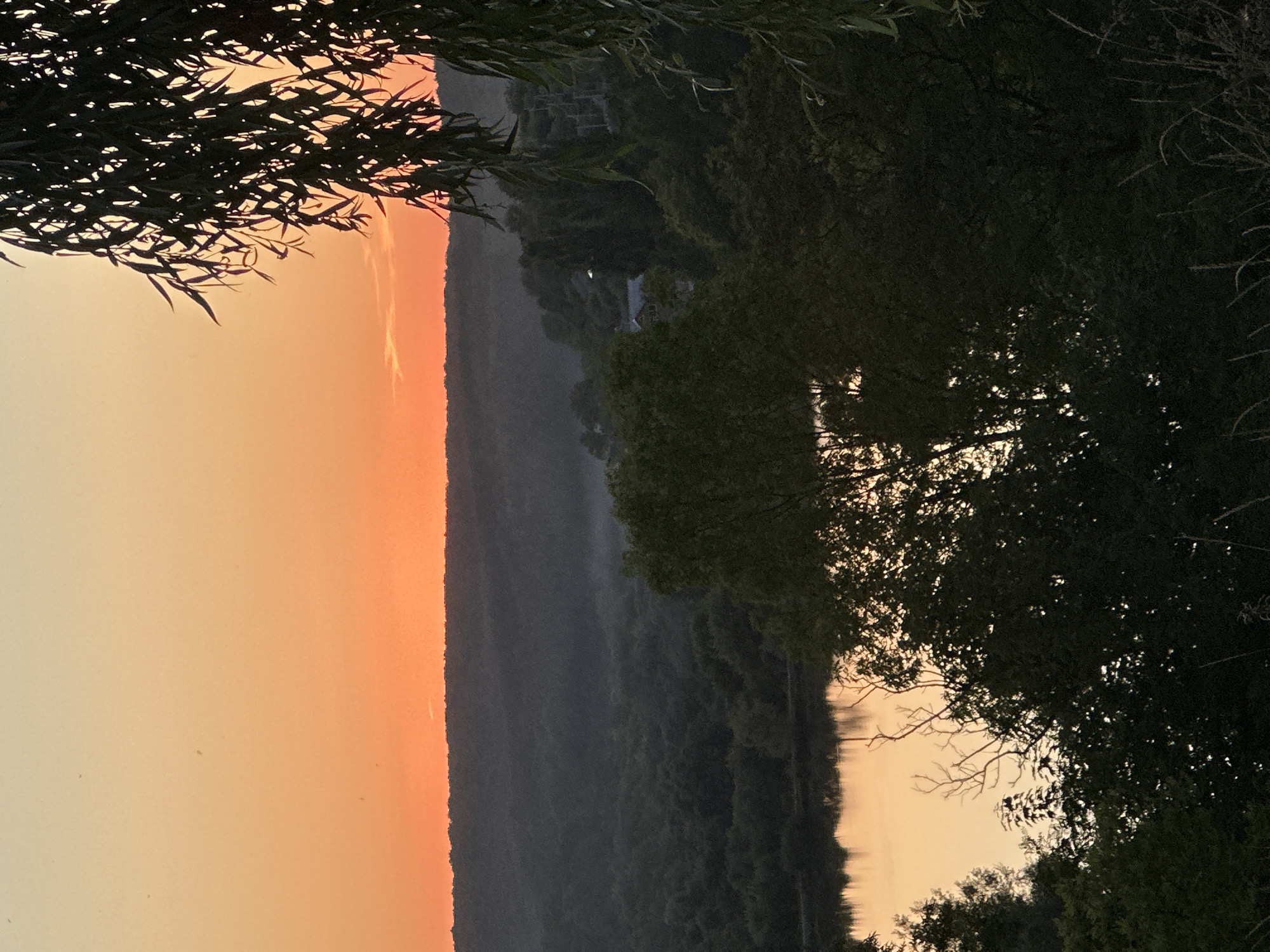 This is a photograph of a natural landscape at dusk or dawn. The sky is a gradient of soft orange and yellow, with a few faint clouds visible near the horizon. Below the sky is a dark silhouette of rolling hills covered in dense trees. In the foreground, the dark shapes of trees and foliage frame the scene, with willow-like branches hanging from the upper right. A body of water, reflecting the colors of the sky, is visible in the middle ground. The overall impression is one of peace and tranquility. The location is specified as Makiv, Ukraine.