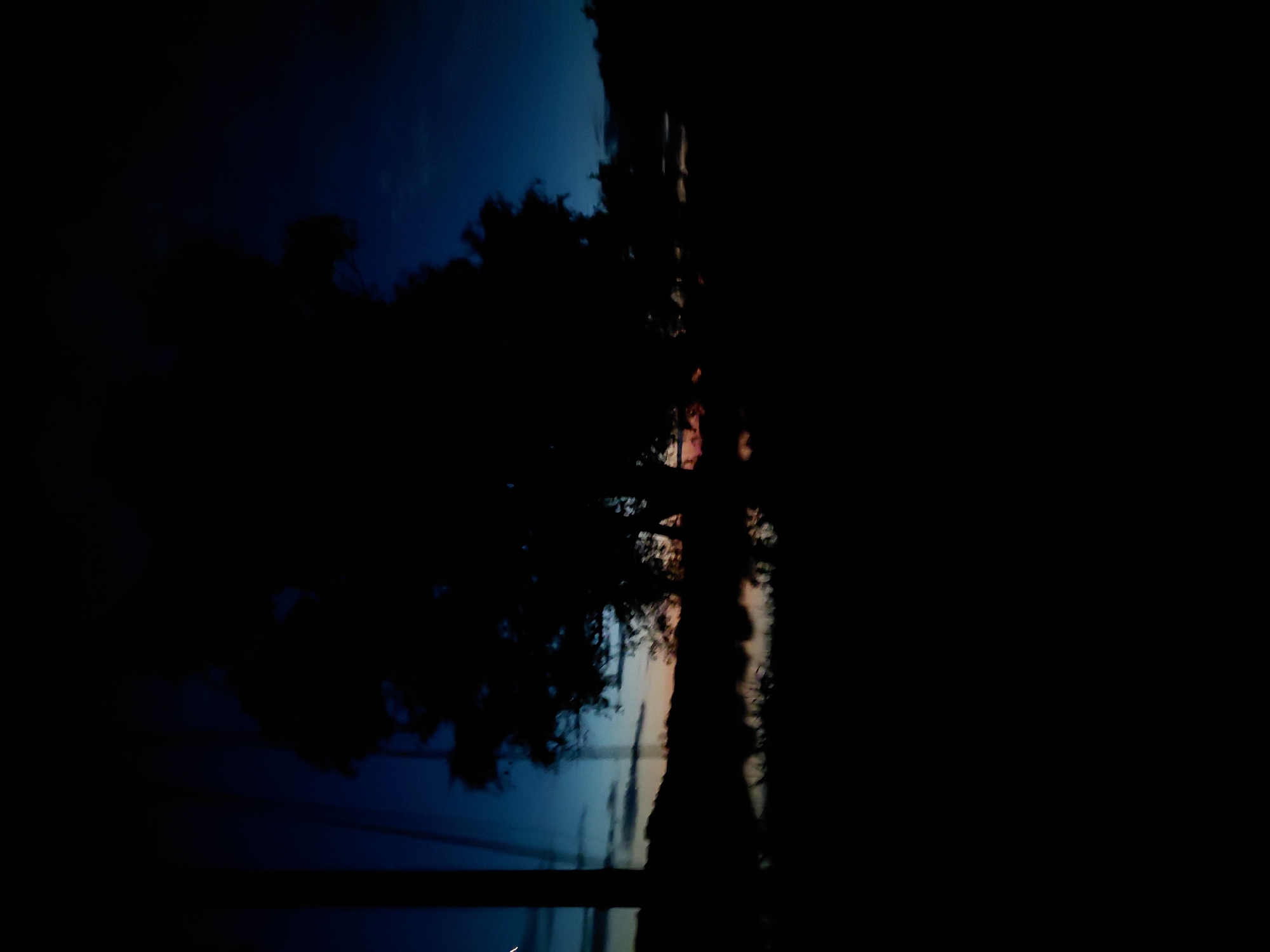 The media file captures a serene outdoor scene at twilight or night, likely in Ustyvytsia, Ukraine. The image is dominated by deep blues and dark silhouettes, suggesting either very late evening after sunset or early morning before sunrise.
The main subjects are the silhouetted forms of trees and overhead lines against a darkening sky. A prominent tree trunk stands vertically on the right side of the frame, with its branches spreading out to form a dense, dark mass against the sky. More indistinct foliage silhouettes are visible on the left. Several faint, dark horizontal lines, indicative of power lines or communication cables, stretch across the lower portion of the visible sky.
The sky itself transitions from a dark, rich blue at the top to a slightly lighter, almost indigo hue towards the middle, with subtle hints of reddish-orange or pink near what appears to be the horizon line, possibly indicating residual light from the setting sun or distant artificial illumination. The foreground and much of the immediate ground area are plunged into absolute darkness, appearing as an opaque black mass that obscures any details.
There are no people or specific activities depicted. The overall impression is one of quietude and natural beauty, emphasizing the stark contrast between the illuminated sky and the obscured earthly elements. No visible text is present in the image.