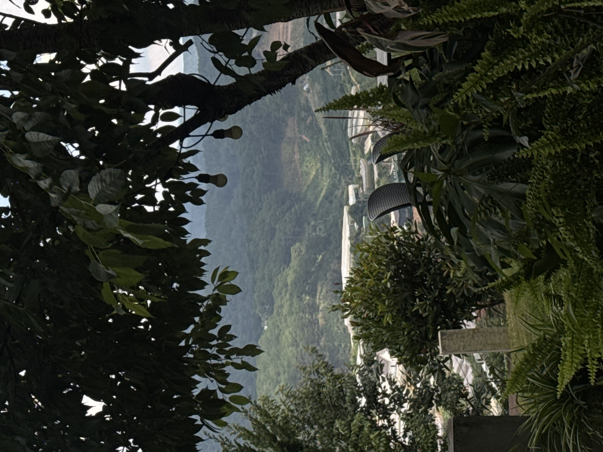This image captures a lush, green landscape viewed from a slightly elevated vantage point, possibly a balcony or terrace, overlooking a valley in Đa Lộc, Vietnam. The foreground is dominated by dense foliage, including ferns and broad-leafed plants, with a stone pillar visible to the left of center. In the midground, several structures resembling greenhouses or agricultural buildings are scattered across the landscape. Beyond these, rolling, tree-covered hills recede into the distance, shrouded in a soft, atmospheric haze. Two bare light bulbs hang from wires in the upper portion of the frame, suspended from tree branches, suggesting an outdoor seating area or a decorative lighting feature. The overall impression is one of a serene, natural setting with evidence of human activity in the form of agricultural structures and outdoor amenities.