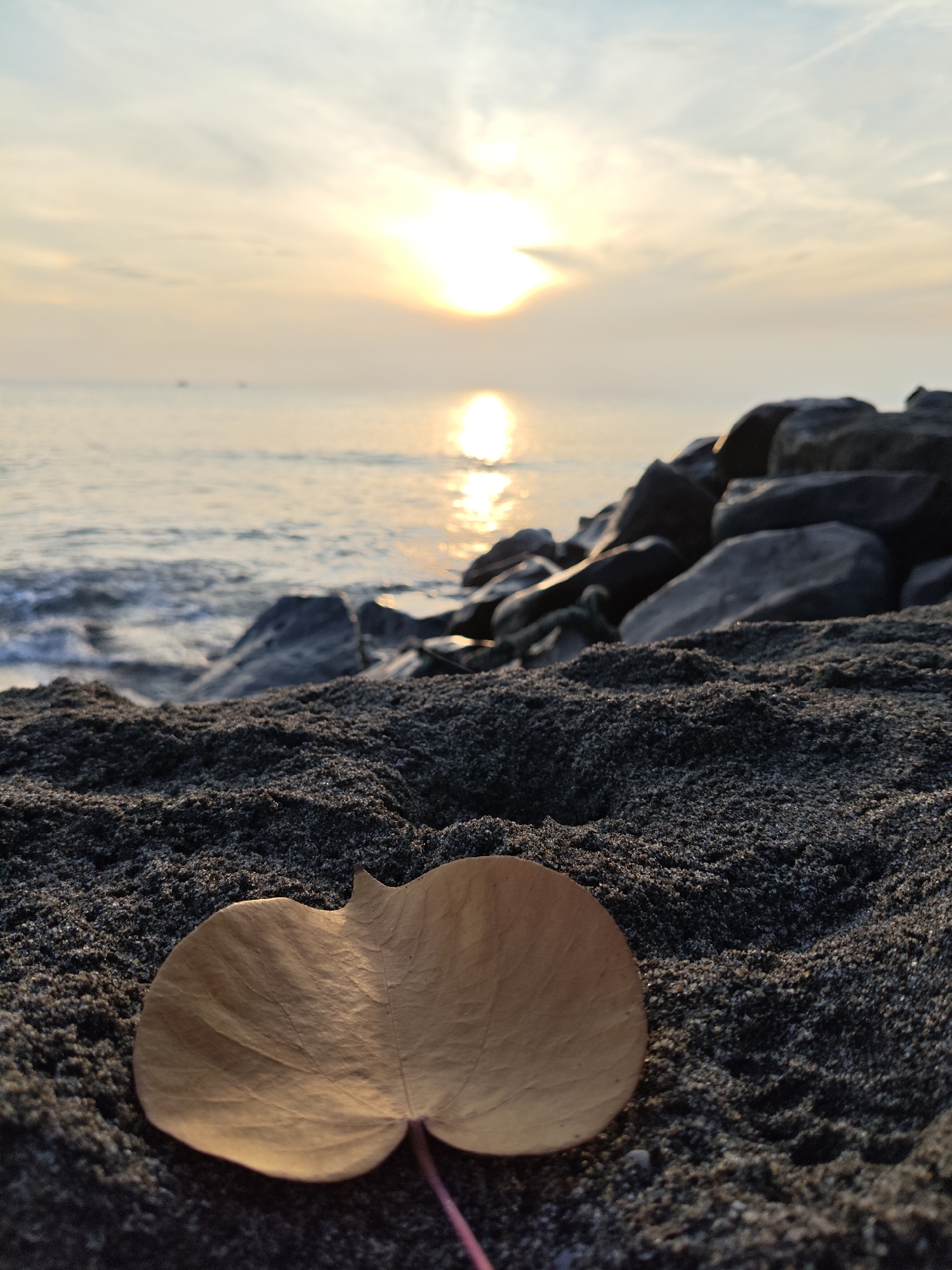 This is a close-up, low-angle shot of a dry, tan leaf lying on dark, grainy sand. The leaf is slightly curled, with a visible stem. In the background, a calm sea reflects the warm glow of the setting sun, which is positioned in the upper right quadrant of the sky, partially obscured by wispy clouds. To the right of the water, a line of large, dark rocks forms a breakwater. The scene is located on the shore of Lhokseumawe, Indonesia. There are no people or animals visible in the image.