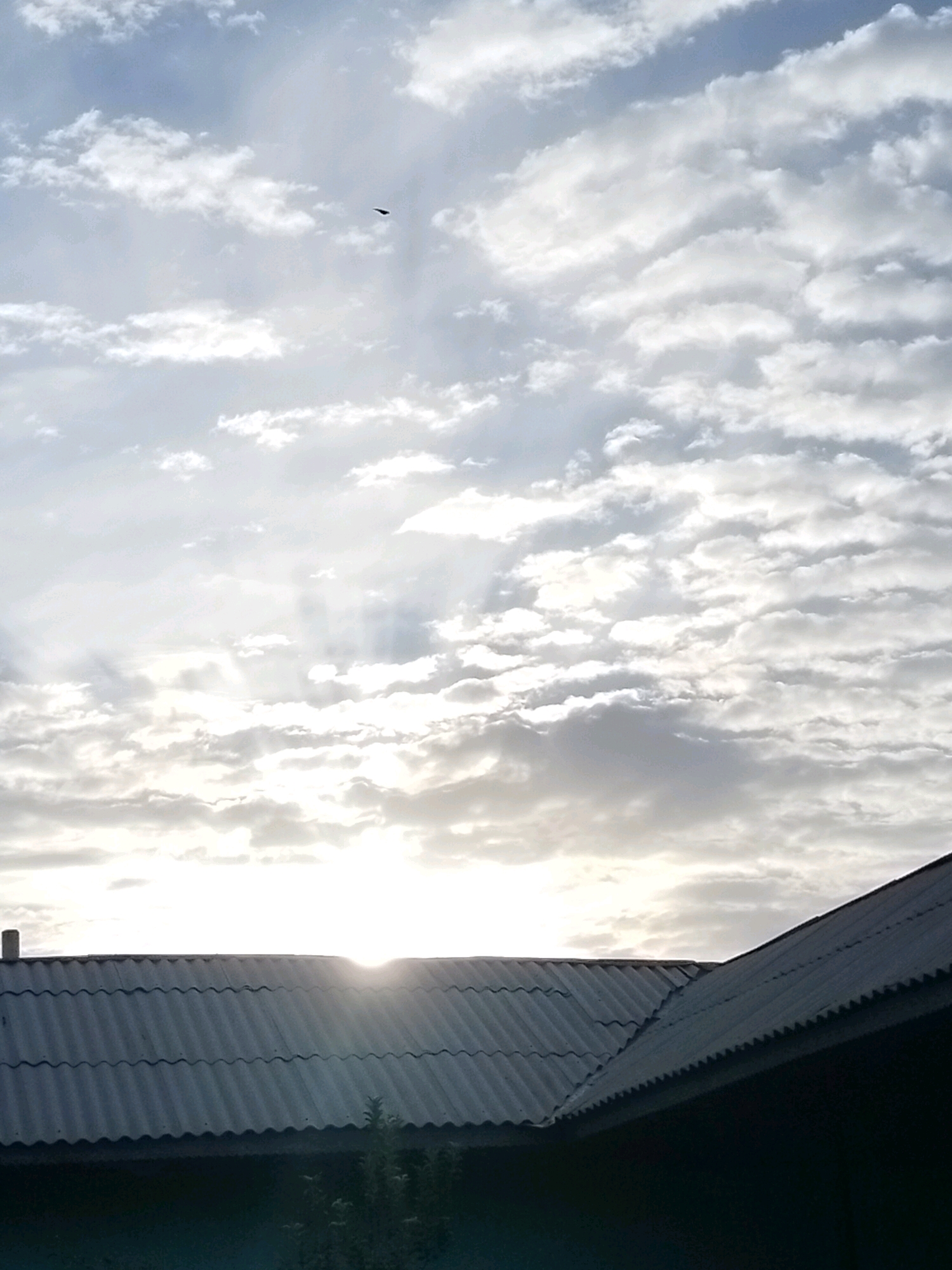 An outdoor, high-angle shot shows a bird flying in a cloudy sky over a dark, corrugated metal roofline of buildings. The sun peeks through the clouds, casting rays of light. The scene is set in the city of Көлкент, Kazakhstan.