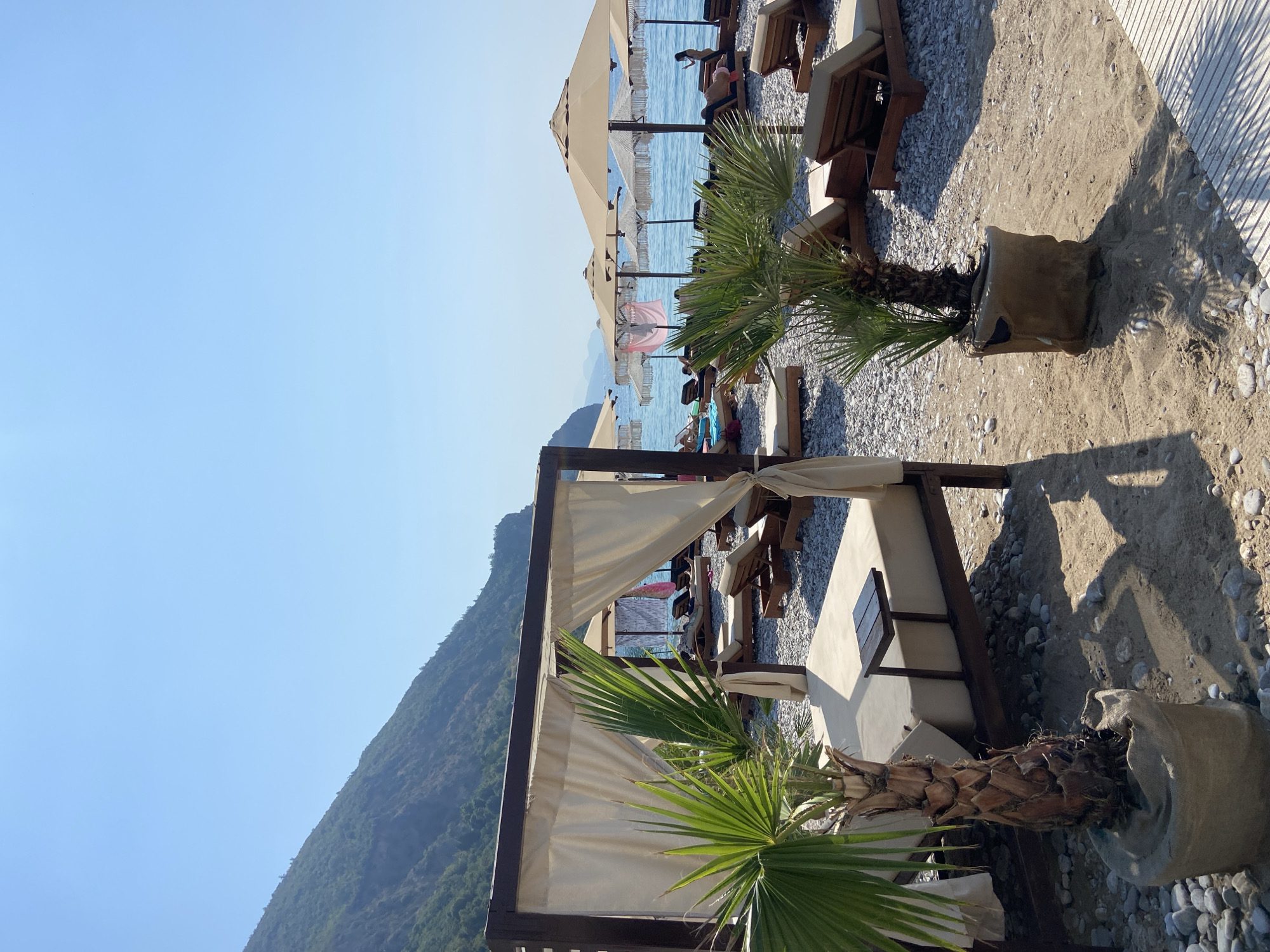 The image depicts a beach scene in Prijevor, Montenegro, characterized by a pebble and sand shoreline. In the foreground, a large, white-canopied daybed structure is prominent, with draped fabric sides. A potted palm tree stands to the left of this structure, its leaves fanning out. To the right, another potted palm tree is visible. The beach is furnished with numerous wooden lounge chairs and beige umbrellas, most of which are open. The sea, a calm blue, stretches to the horizon under a clear sky. In the background, a lush green mountain slopes down towards the coast. A few individuals are present on the beach, seated on lounge chairs or standing near the water. The overall atmosphere suggests a relaxed, sun-drenched environment.