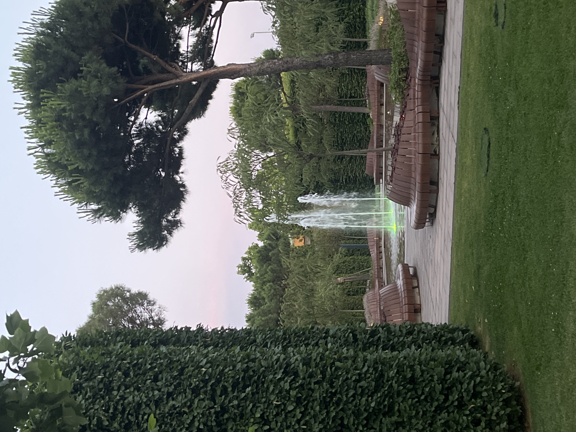 The image depicts a park scene at dusk. In the foreground, a lush green lawn with scattered white flowers leads to a paved area. Beyond the pavement, a circular fountain with green-lit water jets is visible. Surrounding the fountain are curved, wooden benches arranged in segments. A tall, dense green hedge stands on the left side of the image, partially obscuring the view. In the background, various trees and manicured bushes form a backdrop, with a large pine tree on the right. The sky is a soft gradient of pink and light blue, indicating twilight. There are no people or animals present in the scene. The location is identified as the Park of Culture and Recreation in the city of Krasnodar, Russia.