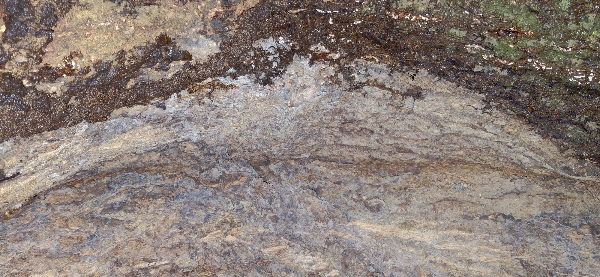The image is a close-up, vertical shot of a textured rock surface, likely a natural rock face or a large boulder, in Vallecito, Venezuela. The rock displays a rough, uneven texture with varying shades of brown, grey, and hints of blueish-grey. There's a distinct diagonal line running from the upper right to the lower left of the image, where the rock surface transitions. To the right of this line, the rock is darker and appears wet or covered in a mossy, organic growth, with patches of bright green and dark brown speckles. The texture on the left side is more layered and striated, with visible cracks and fissures. The lighting suggests an outdoor environment, with shadows highlighting the rock's contours. There are no people or discernible objects other than the rock itself.