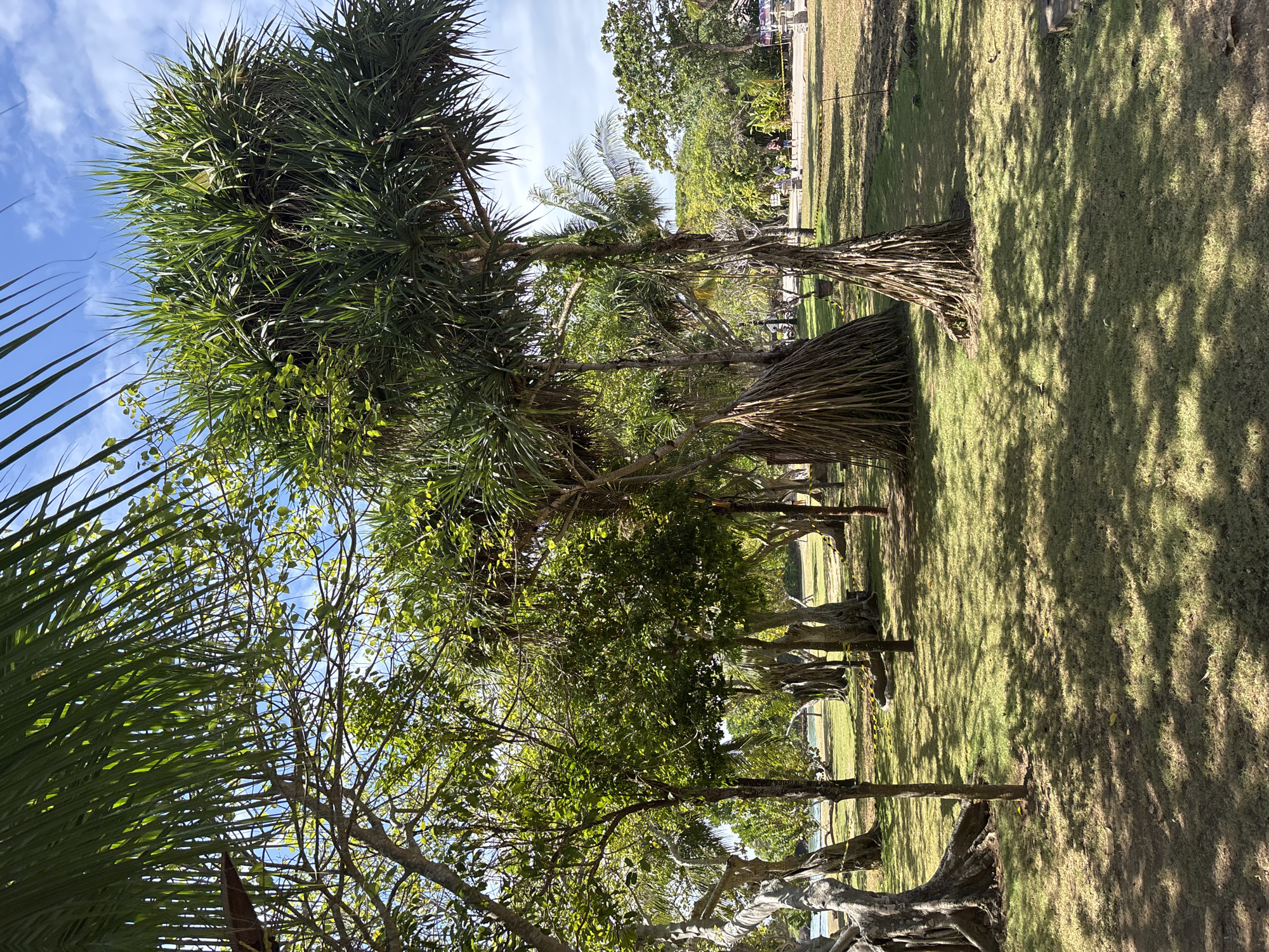 The image captures a scenic park area in Kuta Selatan, Indonesia, bathed in bright sunlight. The foreground is dominated by lush green grass, casting dappled shadows from the surrounding trees. Several large trees with thick, gnarled trunks and sprawling branches are visible, some featuring distinctive aerial roots that create a unique visual texture. Among these are palm trees with their characteristic fronds reaching towards the clear blue sky dotted with a few wispy clouds. In the middle ground, a path or walkway is partially visible, lined with yellow caution tape. A few individuals can be seen in the distance, walking along the path. The background reveals more greenery and hints of structures, suggesting a developed recreational or park area. The overall impression is one of a peaceful, tropical environment.