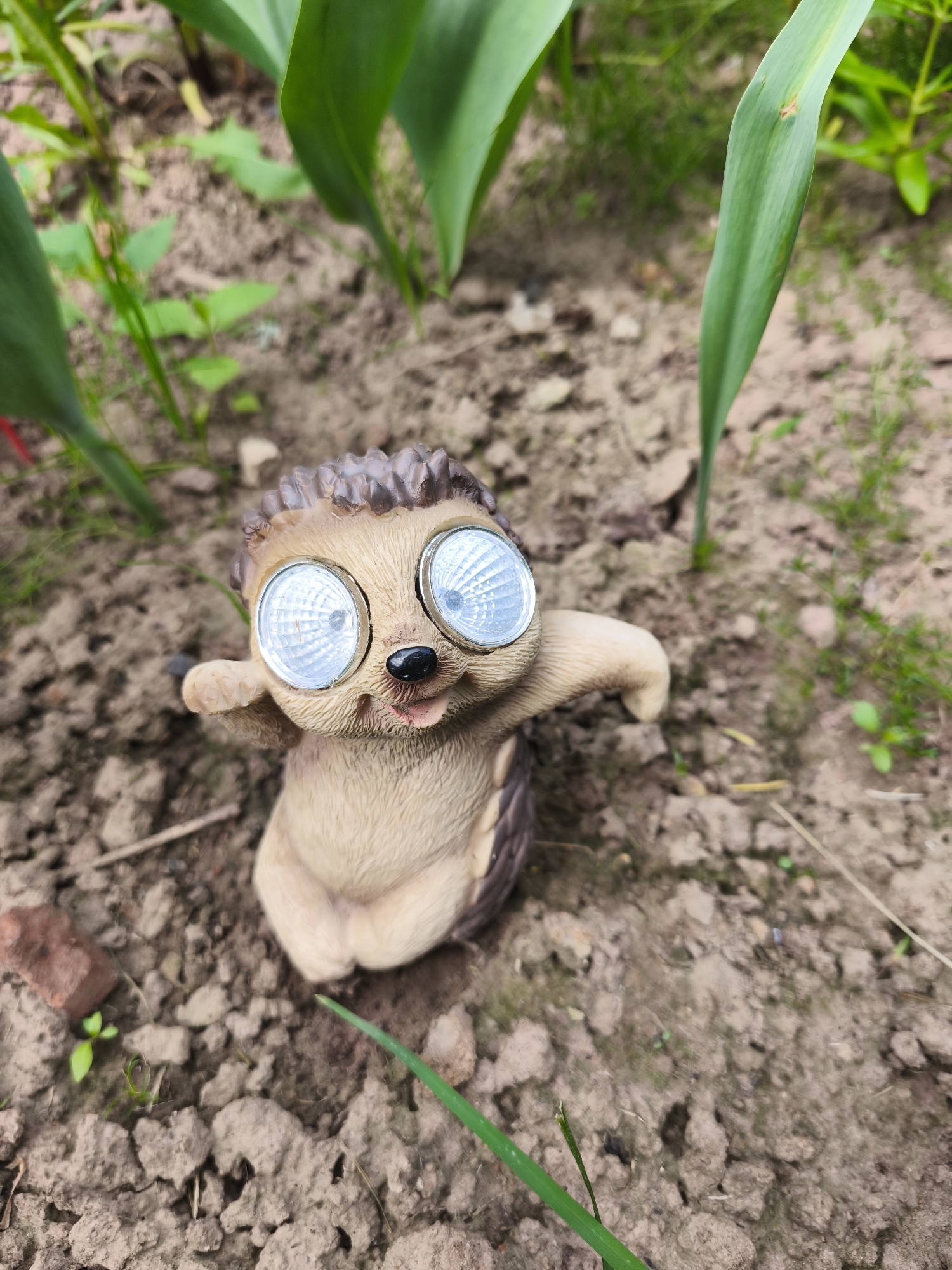 A garden solar light shaped like a hedgehog is positioned in soil between green plants. The hedgehog figure is light brown with a darker brown spiky back. Its face features large, round, bright white eyes, a small black nose, and a slightly open mouth. Its arms are outstretched. The surrounding environment consists of dark soil with small pebbles and green sprouts. In the background, large green leaves of plants are visible, with some dry grass and dirt patches. The lighting suggests it is daytime. The image was taken in Puchezh, Russia.