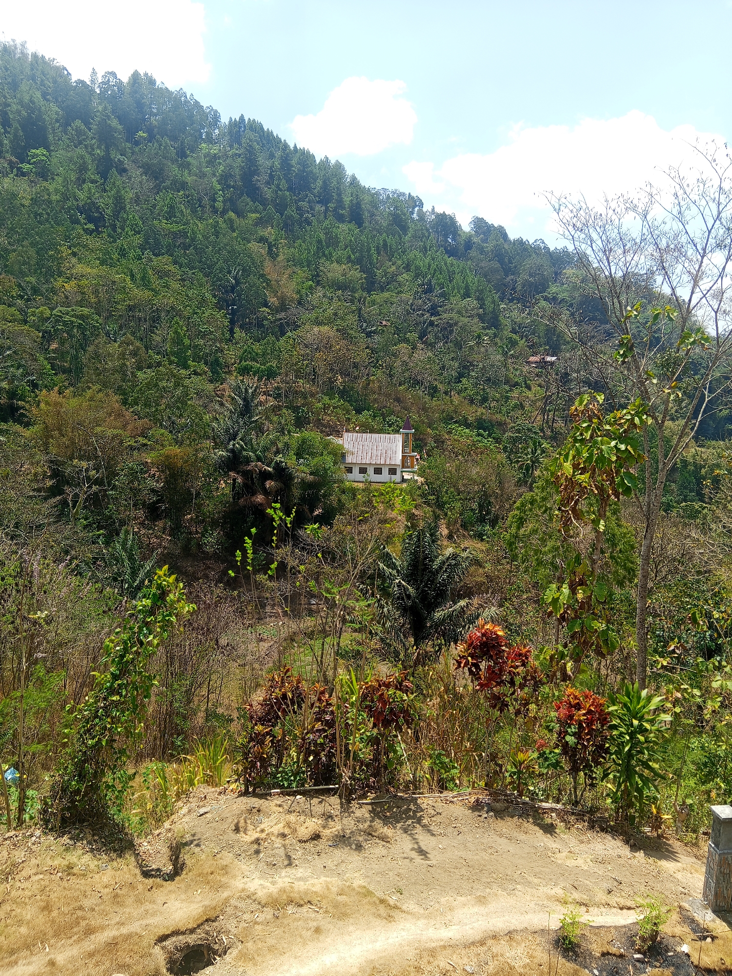 The image depicts a scenic landscape in Batu Papan, Indonesia, characterized by a lush, densely forested hillside. A white building with a light-colored roof and a small bell tower is nestled amidst the trees on the slope. The foreground features dry, sandy soil with patches of vegetation, including tall grasses and shrubs with reddish-brown leaves. In the background, the hillside is covered with a variety of green trees, creating a rich, verdant texture. The sky above is a bright blue with scattered white clouds, suggesting a sunny day. The overall impression is one of a rural, natural environment with a single dwelling integrated into the landscape.