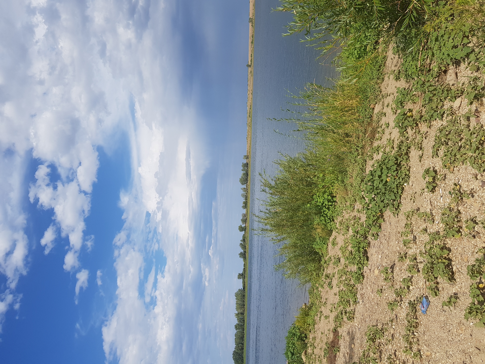 A wide, calm river occupies the central and left portions of the frame. The water is a deep blue, reflecting the sky. The riverbank in the foreground is composed of light-colored sand and small pebbles, sparsely covered with green, leafy ground cover. To the right of the frame, dense green reeds and taller vegetation grow along the bank. In the middle ground, across the river, a distant treeline runs horizontally along the horizon, backed by a flat, tan-colored landscape. The sky above is a dramatic mix of bright blue patches and large, billowing clouds, some of which are dark and appear to be on the verge of rain, particularly towards the right side of the frame. The overall scene suggests a natural, outdoor environment, likely a park or natural reserve area within the city of Kurchatov, Kazakhstan, with the river serving as a prominent geographical feature.