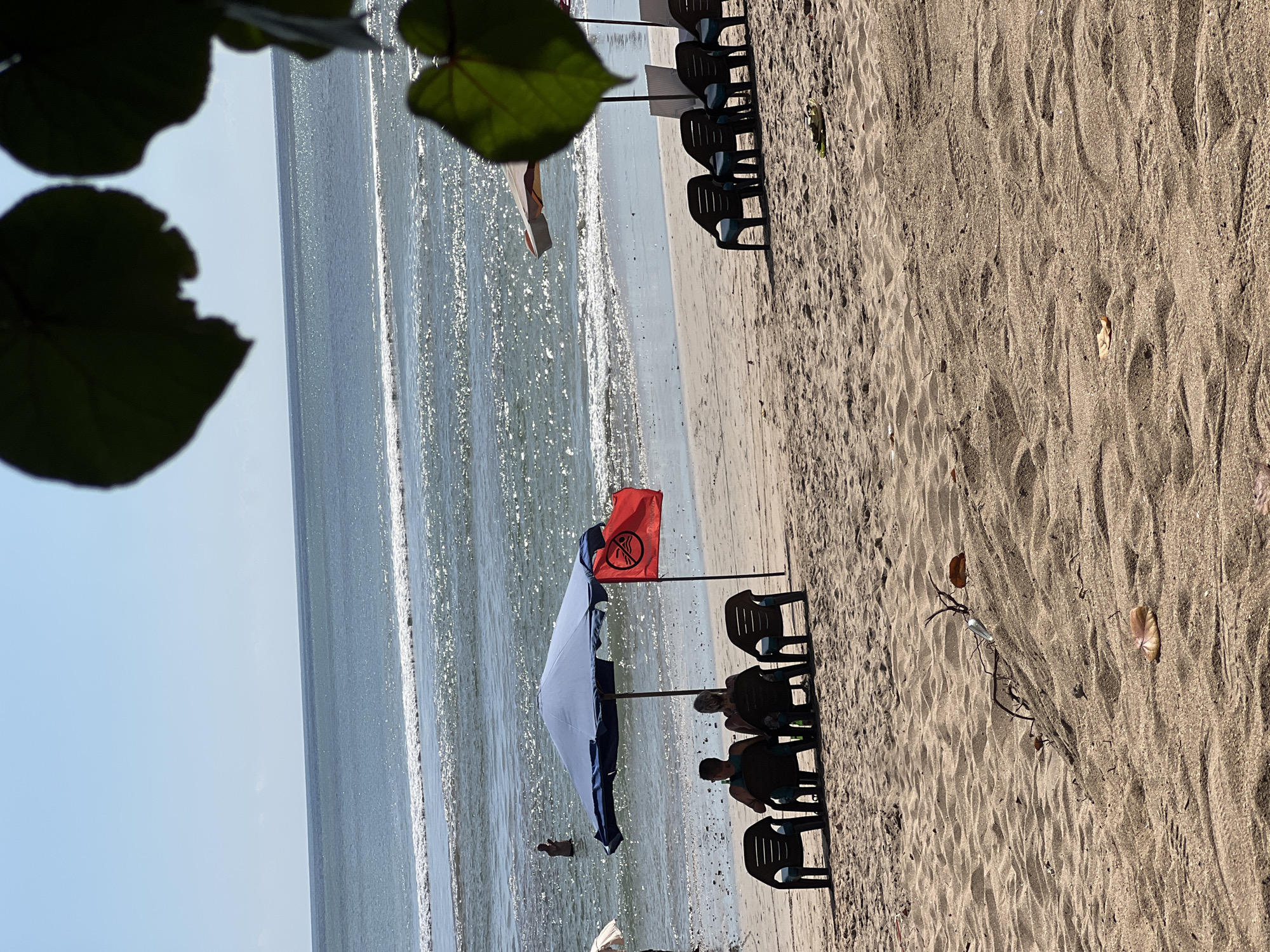 In Kuta, Indonesia, a beach scene unfolds with clear blue skies and gentle waves rolling onto a sandy shore. In the foreground, a group of four empty beach chairs are arranged in a line on the sand. Further back, two individuals are seated in chairs under a large blue umbrella, facing the ocean. A red flag with a symbol and text is planted next to the umbrella, presumably indicating a condition of the sea. In the middle distance, a person stands in the shallow water. To the right, more empty beach chairs are visible, some under a partially obscured umbrella. The sand is textured with ripples and scattered with a few dry leaves and small branches.
