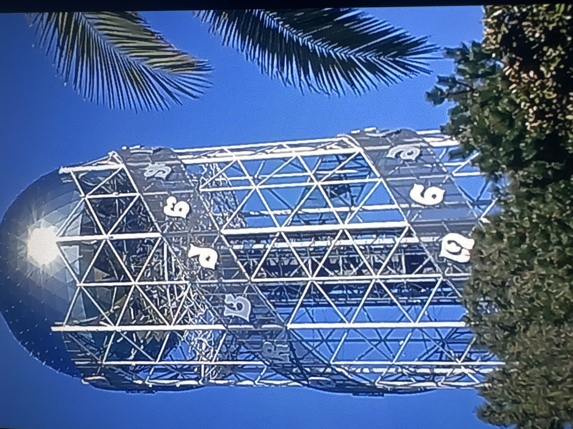 The image captures a daytime exterior view of the Alphabet Tower in Batumi, Georgia, against a clear blue sky. The tower, a prominent landmark, features a modern, cylindrical design with a metallic lattice structure and glass panels. White Georgian alphabet characters are prominently displayed on a helical band that wraps around the tower. The top of the tower is crowned by a geodesic dome, which reflects sunlight brightly. Two palm fronds are visible on the right side of the frame, suggesting a subtropical climate. The lower portion of the image shows the tops of lush green trees, indicating the tower is surrounded by vegetation. No people or vehicles are visible in the frame.