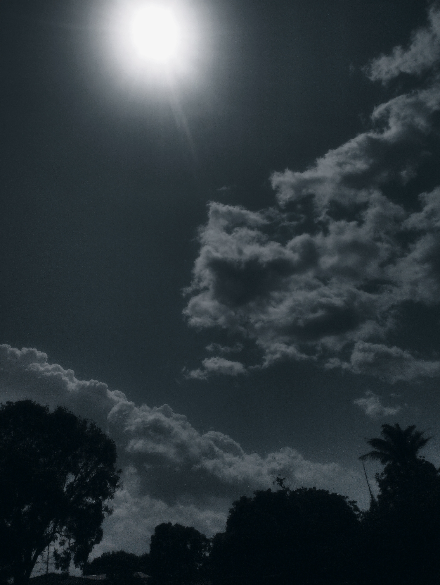 This is a grayscale photograph of a bright sun high in the sky, partially obscured by clouds. The sun emits strong rays, creating a lens flare effect. The sky is filled with a mix of dark, textured clouds and lighter, fluffier ones. In the foreground, silhouetted against the bright sky, are the tops of several trees and what appears to be a palm tree. The overall impression is of a daytime scene, possibly during a partly cloudy or overcast period. The light suggests it is midday. The presence of trees, including a palm, hints at a tropical or subtropical location. The image is devoid of any people, objects, or visible text. The mood is somewhat dramatic due to the high contrast and the presence of the intense sun and heavy clouds. The location context of Jos, Nigeria, aligns with the presence of tropical foliage.