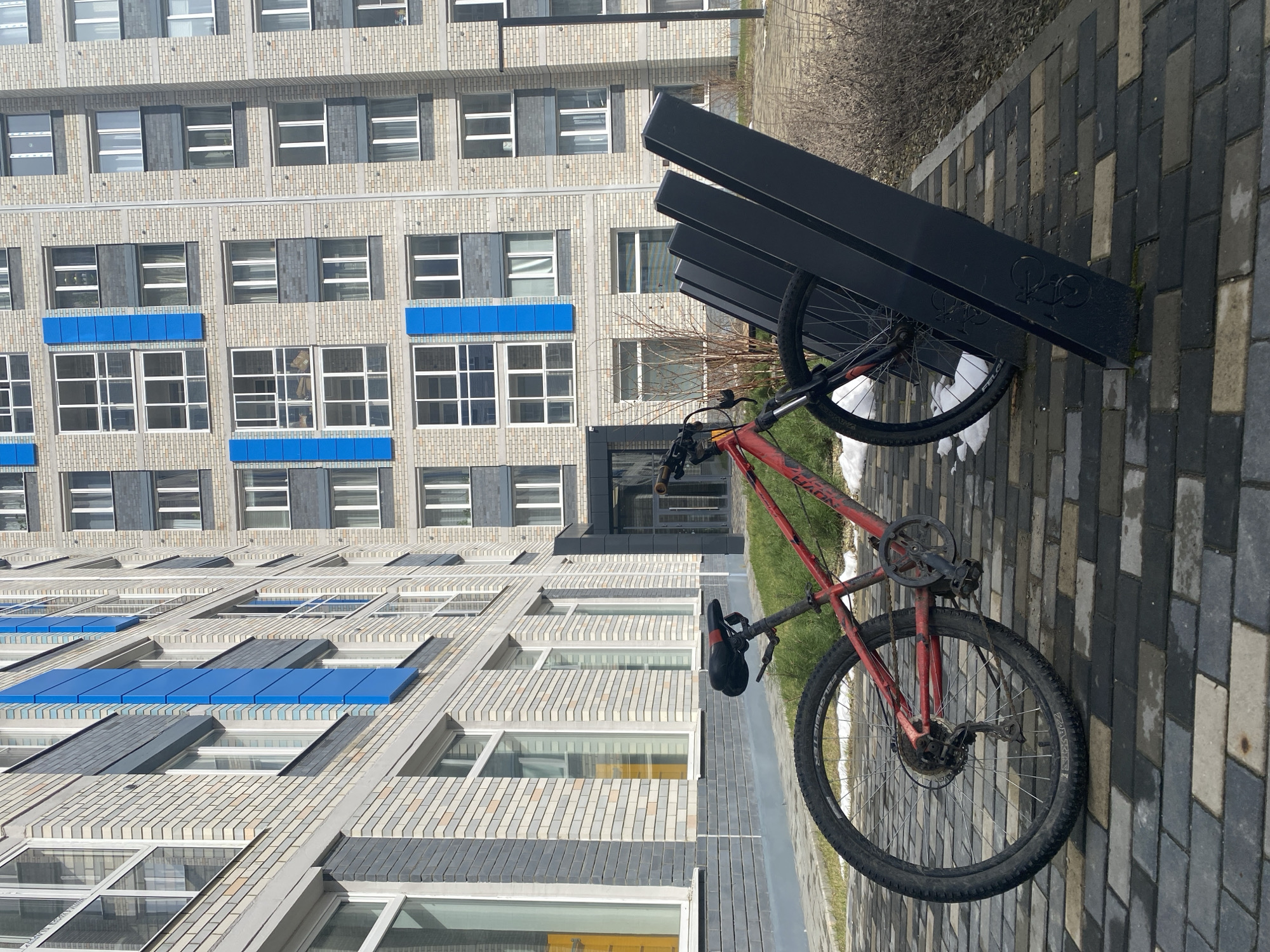 A red bicycle is secured to a black metal bike rack in front of a multi-story building. The building has a brick facade with alternating light and dark gray sections, and blue accents above some windows. The bike rack is designed with three parallel black metal bars at a slanted angle, featuring bicycle logos cut out of the metal. The foreground is paved with rectangular gray and black bricks. Patches of grass and bare bushes are visible near the bike rack. This likely depicts a common urban scene, but specific location information for Yekaterinburg, Russia is absent without additional visible clues.