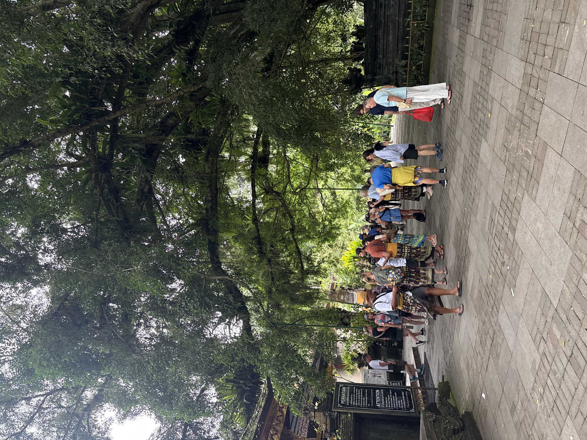 The image captures a group of people, likely tourists, walking along a stone-paved pathway shaded by a dense canopy of large, lush tropical trees. The scene appears to be an outdoor area leading to a cultural or sacred site in Tampaksiring, Indonesia.
In the foreground and middle ground, numerous individuals are visible, many of whom are wearing traditional Balinese sarongs wrapped around their waists, indicating adherence to a dress code often required at temples. They are generally moving in a line or queue-like formation, suggesting an organized tour or entrance to an attraction. The pathway itself is made of grey interlocking pavers.
Notable details include the extensive green foliage that dominates the upper and left portions of the image, creating a shaded and verdant atmosphere. Sunlight appears diffused, indicating either an overcast day or the powerful shade from the trees. On the far right, glimpses of traditional Balinese architecture, possibly part of a temple gate or structure, are visible.
In the lower left corner, a dark information sign is prominent. The sign features text in both Indonesian and English, with prominent headings "PERHATIAN" and "ATTENTION." It lists several rules for visitors, including "Sincere and pure," "Polite," "Do not litter," "No smoking," "No dirty words," "No entry to the main temple area if menstruating," and "No swimming," reinforcing the sacred or protected nature of the location. The overall mood is orderly and respectful, typical of visitors to a cultural heritage site.