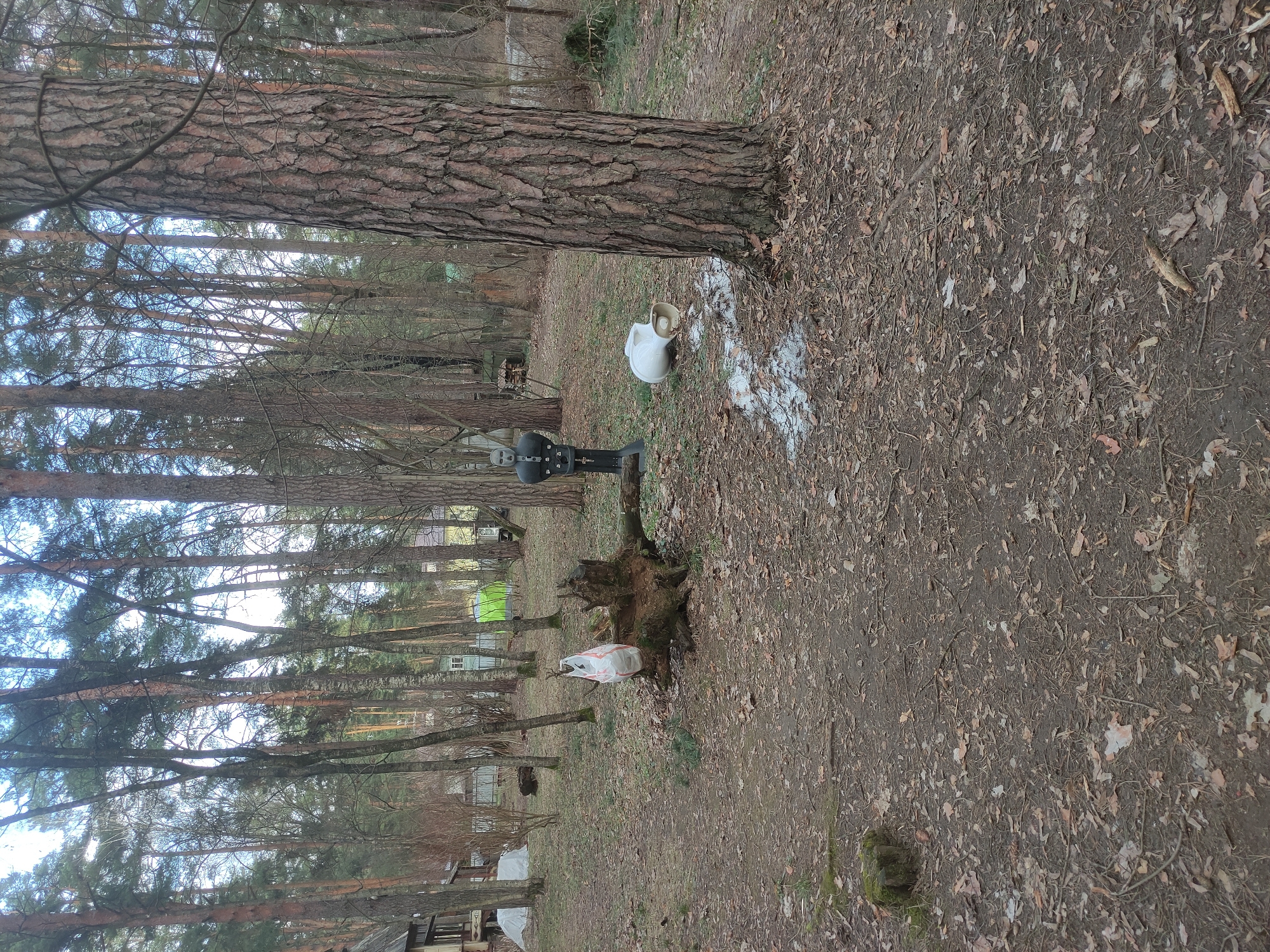 The image shows a forest floor covered in brown leaves and twigs. A large tree trunk is prominent on the left side of the frame. To the right of the tree trunk, there is a white ceramic pitcher and bowl set on the ground, surrounded by a scattering of what appears to be white powder. Further into the scene, a black charcoal grill stands near a tree stump. Beyond that, the background reveals more trees and a glimpse of a building or structure with what appears to be a lime-green tarp or cover on it. Also there is a white trash bag. The scene appears to be located in a wooded area, possibly in the vicinity of a residential area, but without more context, a specific location within Kratovo, Russia, cannot be determined. The image depicts a landscape with indications of human presence, marked by objects like the pitcher set, grill, trash bag, and a partial view of a building in the distance.