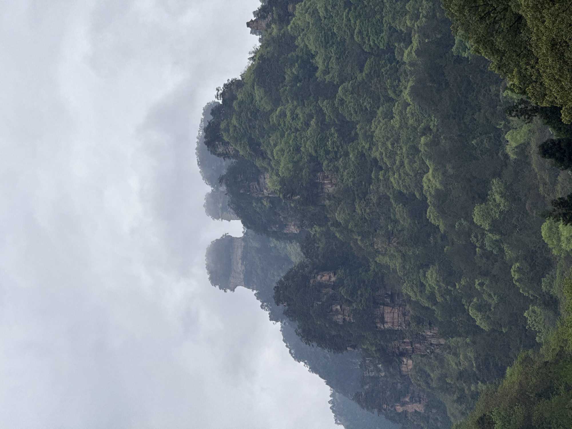 The image depicts the Zhangjiajie National Forest Park in Luoguta, China. The scene focuses on several tall, pillar-like rock formations densely covered in green vegetation. The formations fade into the distance, obscured by mist and clouds. The sky is overcast. The rock formations have distinct horizontal striations visible beneath the vegetation in places. The overall atmosphere is hazy and damp.
