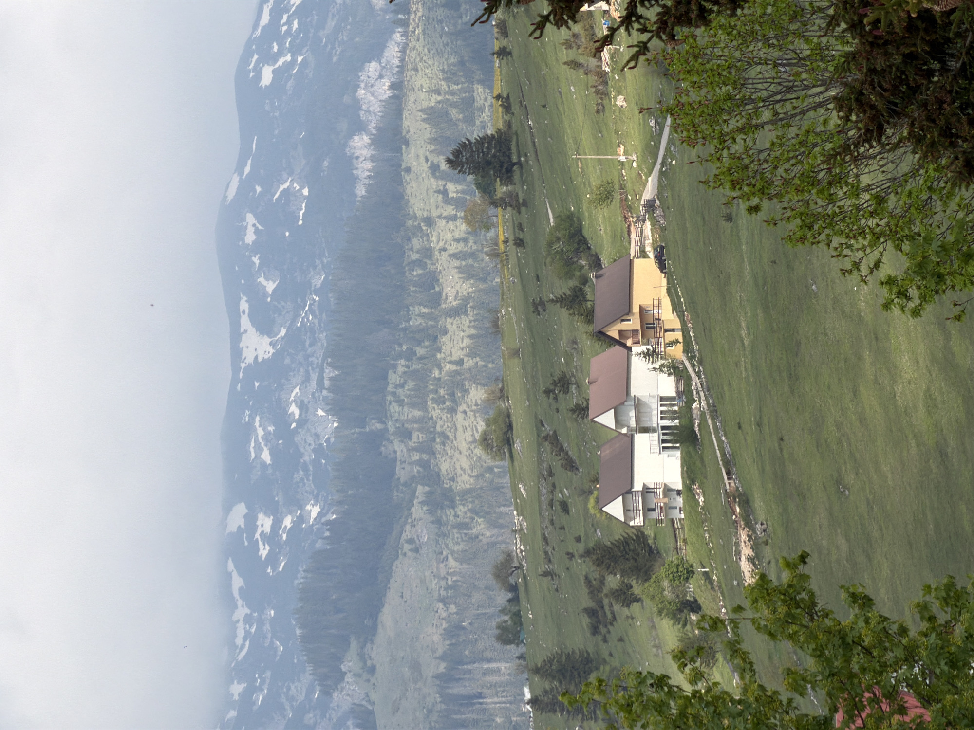 The image shows a landscape with a mountain range on the left, partly covered in snow and shrouded in mist. To the right, there are green, grassy slopes with scattered trees and several buildings with brown roofs. The buildings appear to be residential, with one painted yellow and the others white. A road or path runs through the grassy area near the buildings. The view is framed by foliage in the foreground, suggesting the photo was taken from behind trees. The location is Žabljak, Montenegro.