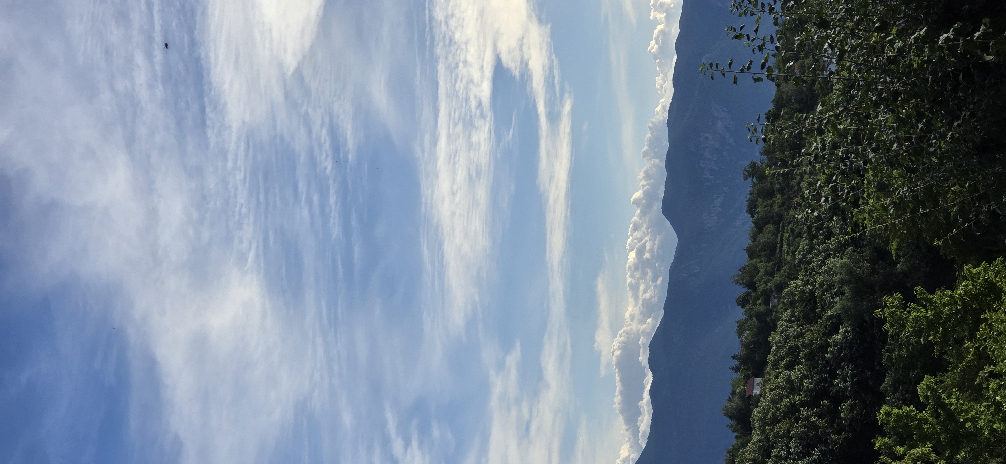 The image depicts a scenic landscape with a focus on natural elements. The scene is divided vertically, with a vast expanse of blue sky filled with wispy white clouds on the left and a dark, densely forested mountainside on the right. The sky shows streaks of cirrus clouds, suggesting a partly cloudy day. A small, dark object, possibly a bird or an insect, is visible in the upper left portion of the sky.
The mountainside is covered in lush green trees, creating a thick canopy. The dense foliage suggests a warm, possibly summer season. In the lower right quadrant of the image, a small house with a reddish roof can be seen nestled amongst the trees, indicating a rural or semi-rural setting. The overall impression is one of tranquility and natural beauty. The lighting suggests it is daytime, likely late morning or early afternoon, given the bright sky and clear visibility. The image captures a serene moment in a mountainous region, possibly in Vratsa, Bulgaria, as suggested by the context. There is no visible text in the image.