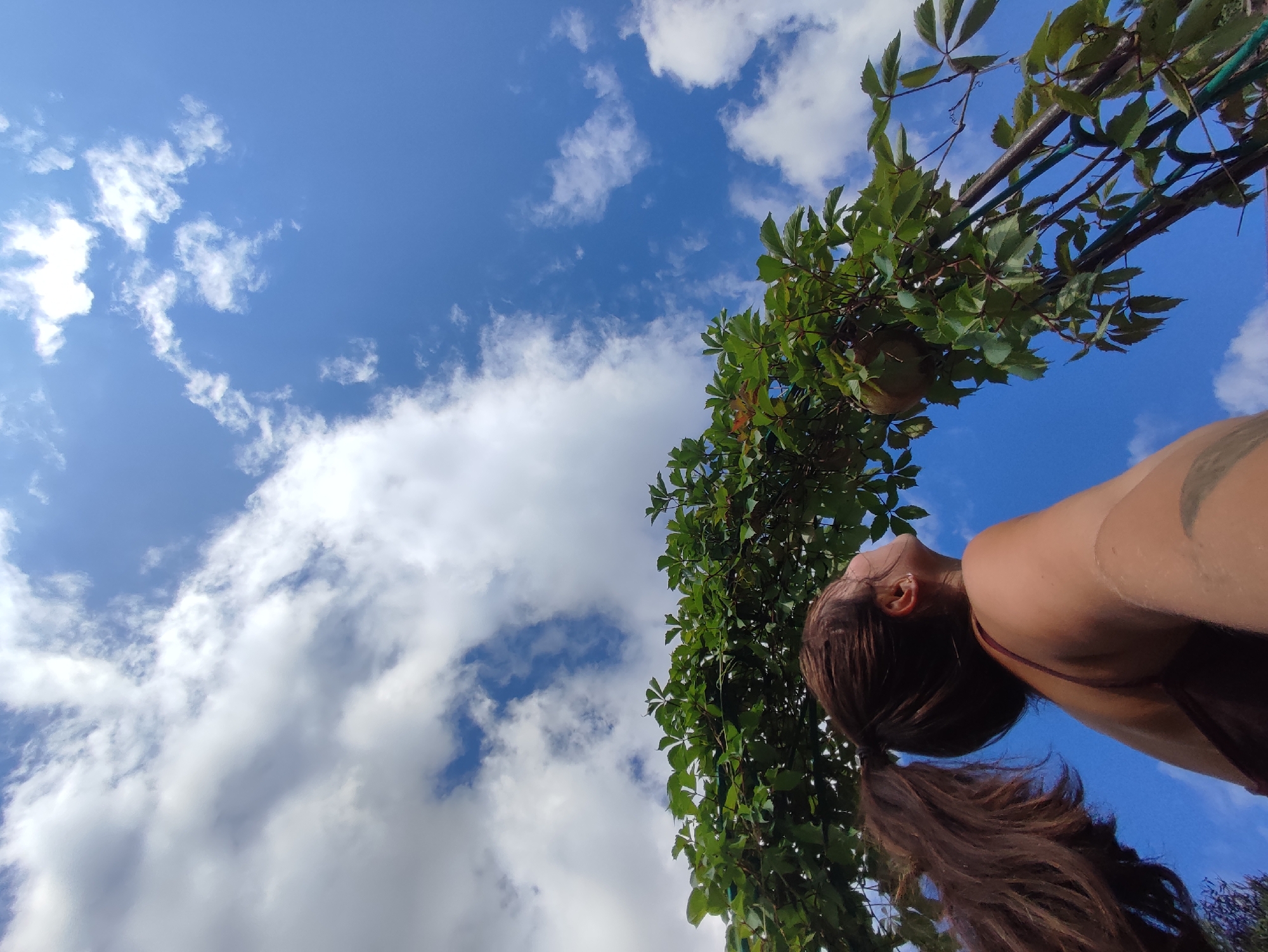 A low-angle shot captures a person from the neck up, their head tilted back and eyes looking upwards toward a bright blue sky dotted with white clouds. Their long, dark brown hair is pulled into a ponytail that cascades down their back. They are wearing a dark red tank top. To the right of the frame, a dense vine with vibrant green leaves arches over the scene, supported by a dark metal structure. One yellowish-green gourd is visible amongst the foliage. The sky occupies the majority of the image, with the clouds appearing soft and voluminous. The overall lighting suggests a bright, sunny day. The scene appears to be outdoors, possibly in a garden or park setting. The location in the city of Fokino, Russia cannot be determined from the visual information provided.