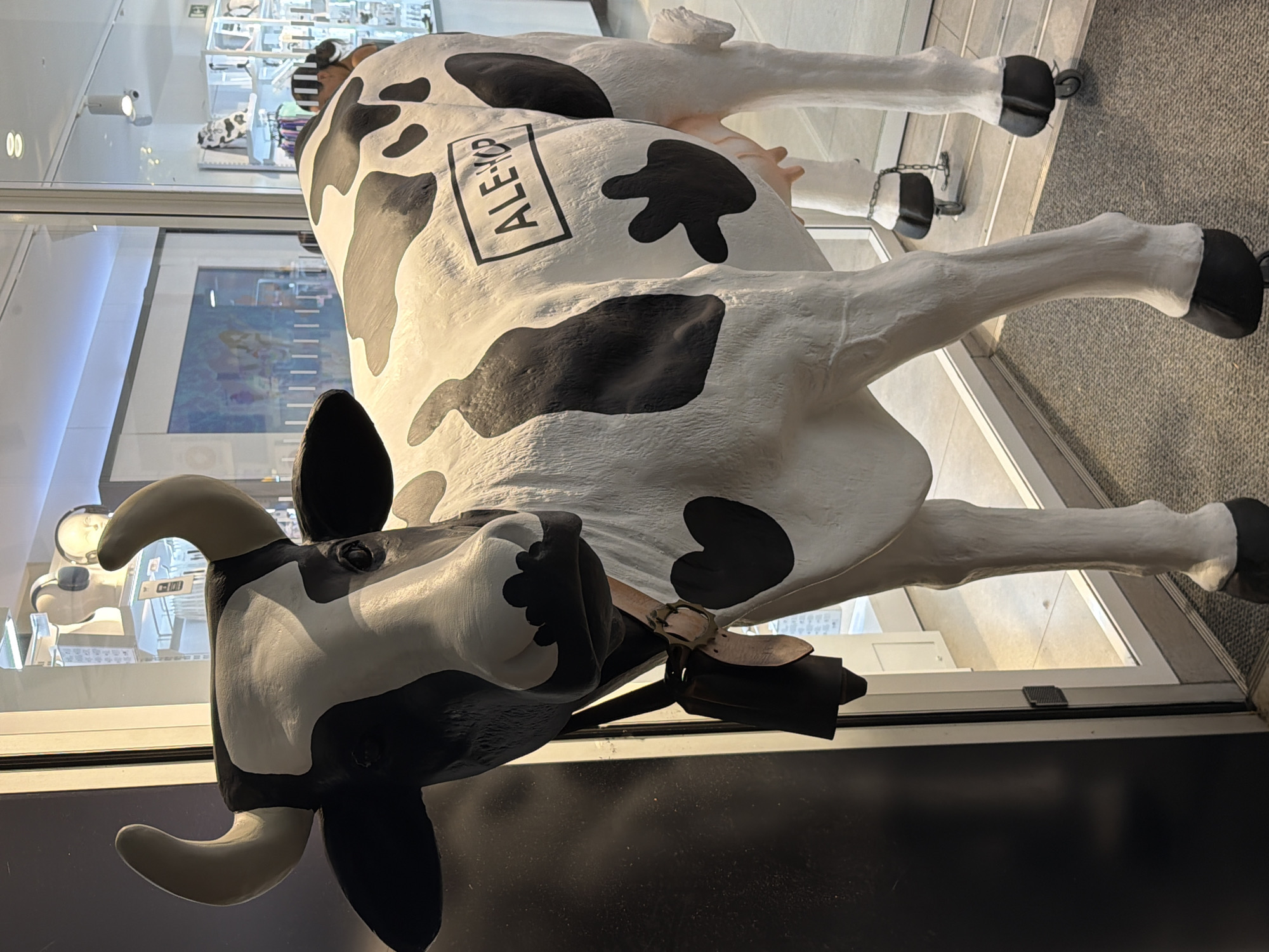 A life-sized, black and white spotted cow statue stands on a grey carpet inside a shop. The cow is facing left with its head turned slightly towards the viewer. It has a black nose, large black eyes, and white horns. A bell is hanging from its neck with a wooden clapper. On the cow's flank, a black rectangle with the white text "ALE-HOP" is visible. The cow's legs have black hooves, and the hind legs have wheels attached. The background shows a shop interior with displays of merchandise and glass windows. A person wearing a striped hat is partially visible in the reflection of the glass. The shop appears to be in Salou, Spain, as indicated by the presence of an "ALE-HOP" store, a Spanish retail chain.