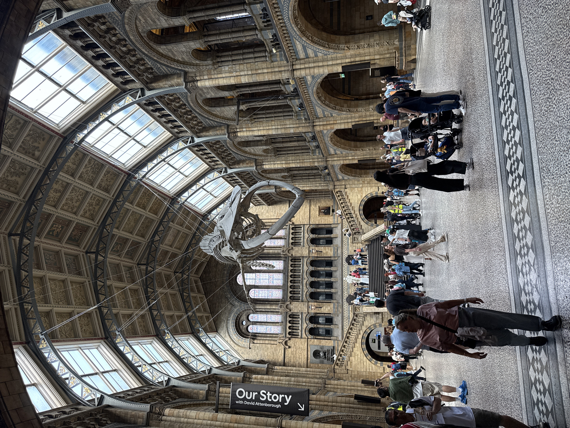 The image shows the central hall of the Natural History Museum in London, United Kingdom. The hall features ornate architectural details, including arched ceilings with patterned panels, rows of windows letting in natural light, and decorative columns. A large whale skeleton hangs suspended from the ceiling. Many visitors are present, walking around and observing the exhibits. A sign reading "Our Story with David Attenborough" is visible, pointing towards an exhibition. The floor is patterned in a light grey and white chequerboard design. The scene appears to be crowded, and the lighting is bright due to the windows.