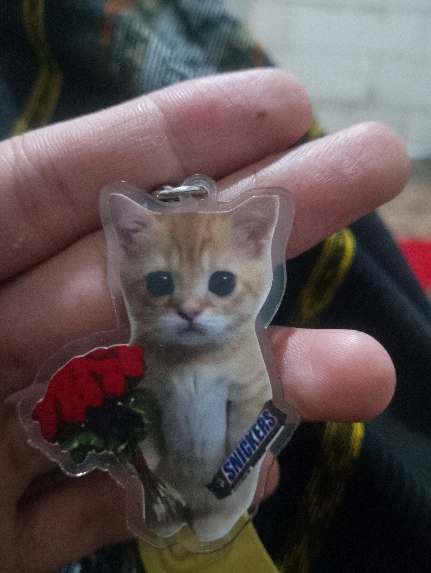 A clear plastic keychain featuring a printed image of a ginger kitten holding a bouquet of red roses and a Snickers candy bar is displayed. The keychain is held between the thumb and forefinger of a person. The background is a blurry assortment of dark and textured fabrics. The image appears to be a personal item, possibly a souvenir or gift, with no discernible connection to the city of Sowan Kidul, Indonesia.