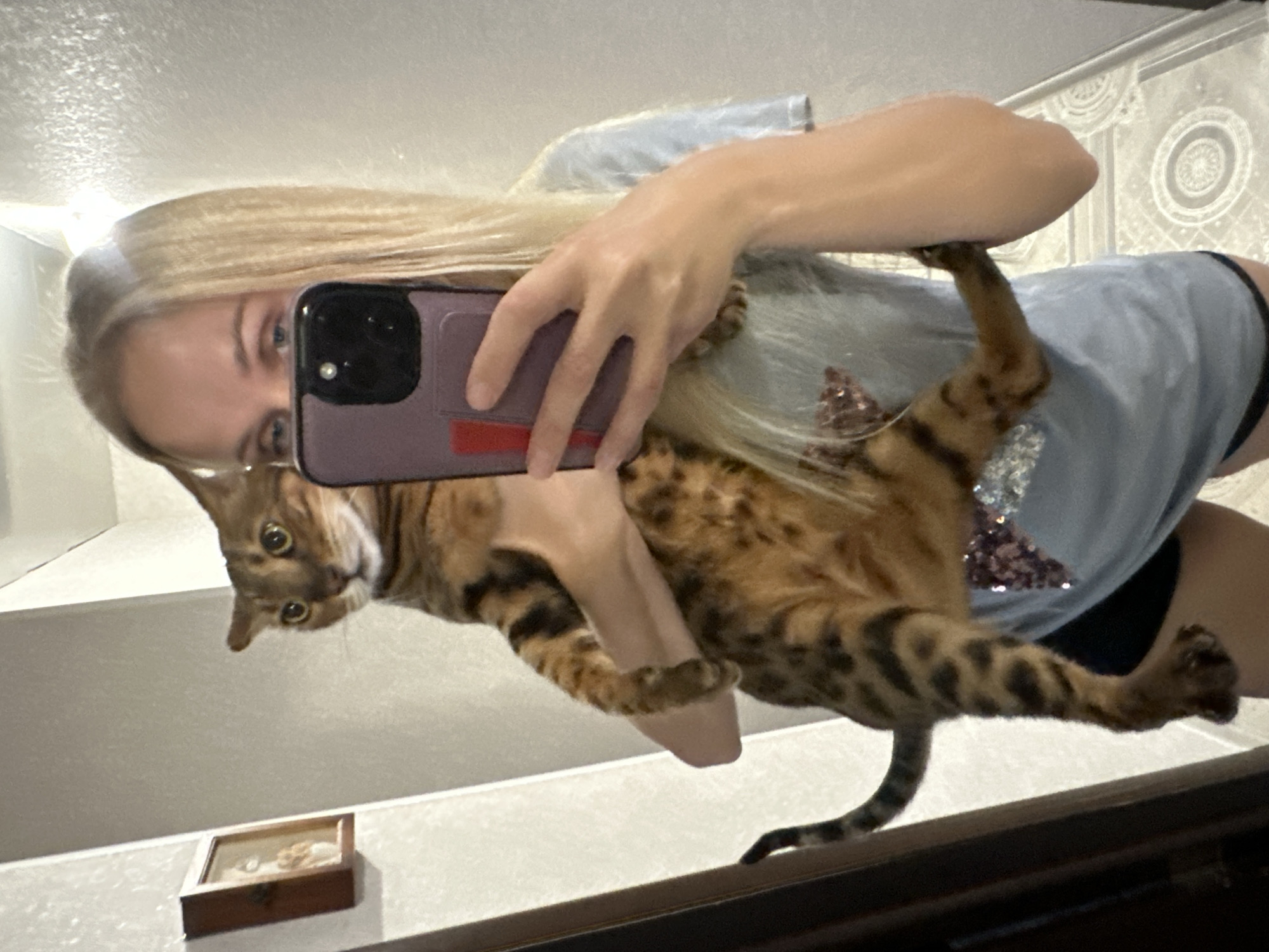 In a domestic setting, likely an apartment in Energetik, Russia, a young woman with long blonde hair is taking a mirror selfie. She is holding a Bengal cat, which is a breed known for its spotted or marbled coat. The cat is being held in her arms, and its body is partially obscured by her phone. The woman is wearing a light blue t-shirt with a sequined star design. She is holding a purple smartphone in her right hand, angled to capture the reflection in a mirror. The background suggests an indoor environment, possibly a hallway or living area, with a wall and a doorframe visible. A small framed picture hangs on the wall to the left. The floor appears to be tiled or covered with a patterned rug. The lighting is even, suggesting an interior light source.