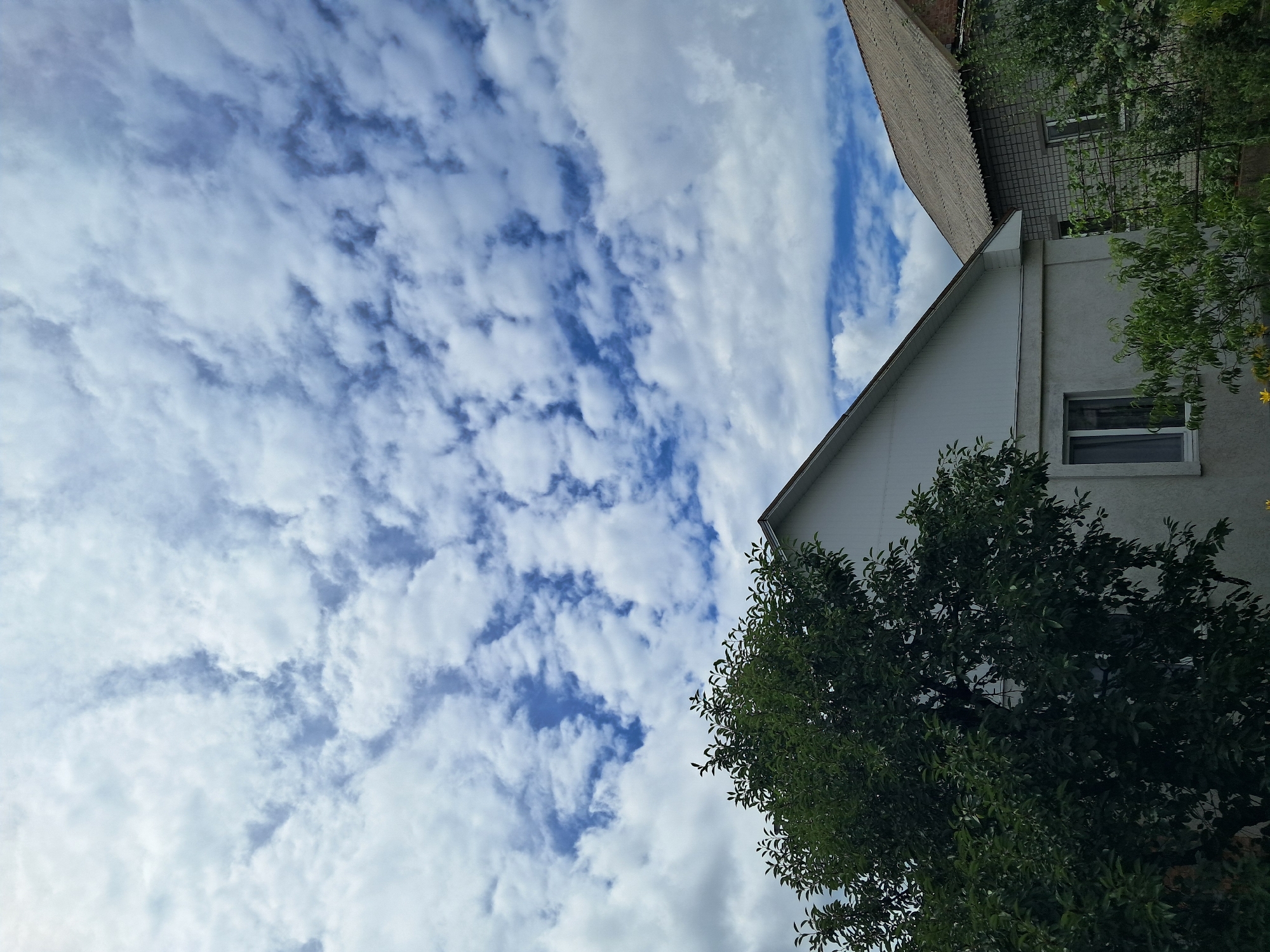 The image depicts an outdoor scene with a cloudy sky and two houses. A large, green tree is positioned on the left side of the frame, partially obscuring a white house with a pitched roof and a window. To the right, another house with a gray, corrugated roof and brick walls is visible. Lush green foliage surrounds the houses. The sky is filled with scattered white and gray clouds against a blue backdrop, suggesting it may be daytime. The overall scene appears to be in a residential area.